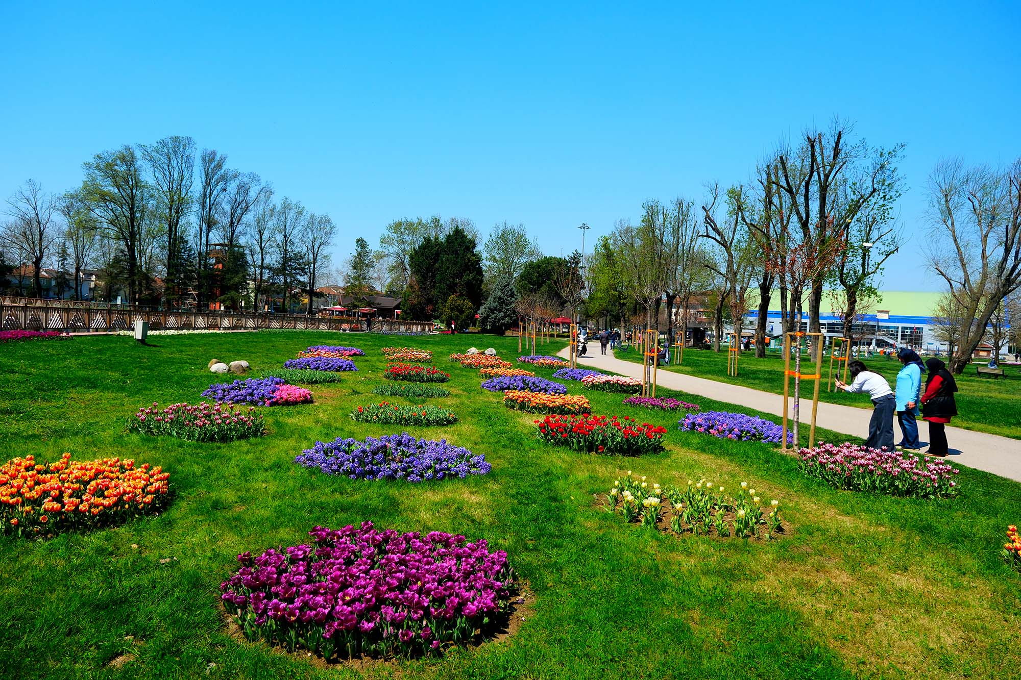 Sakarya’da baharın büyüleyici cümbüşü