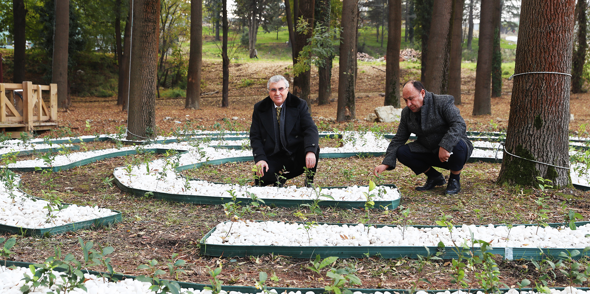 Başkan Yüce, Ormanpark için yeni bir müjde verdi