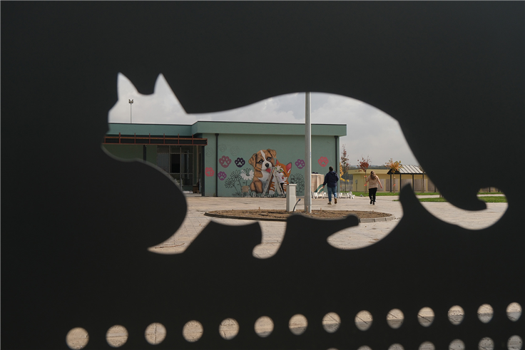 Doğal Yaşam Kampüsü’ne anlam katan grafiti sanatı