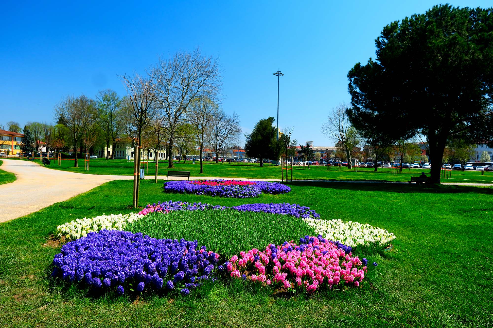 Sakarya’da baharın büyüleyici cümbüşü