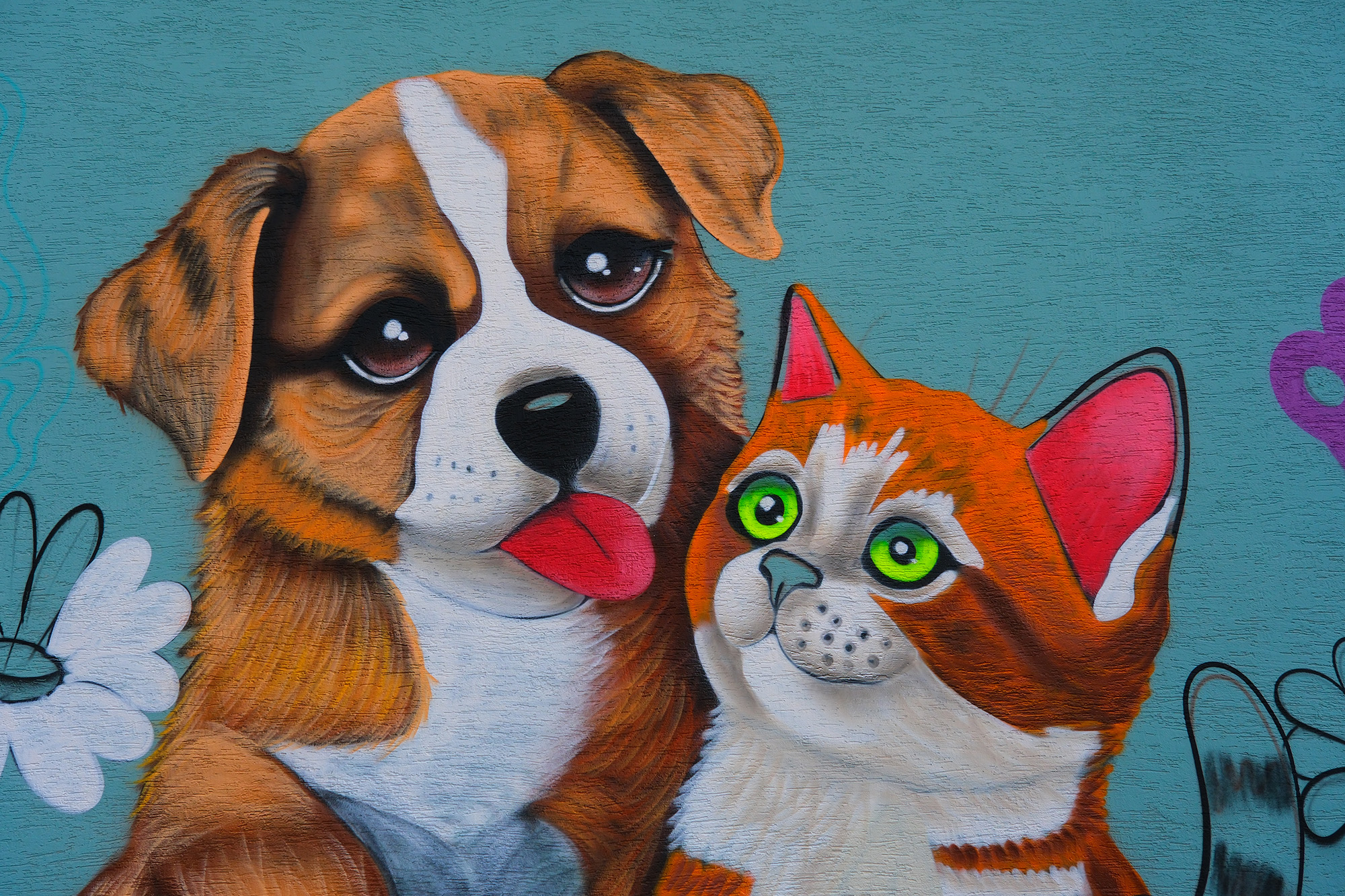 Doğal Yaşam Kampüsü’ne anlam katan grafiti sanatı