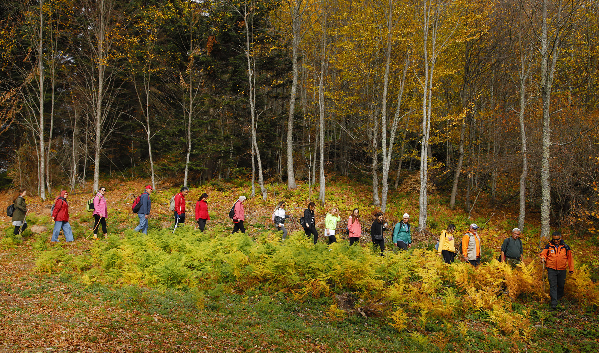Sakarya’da yılların değişmez takvimi açıklandı: Doğa tutkunları Büyükşehir’le yürüyüşlere başlıyor