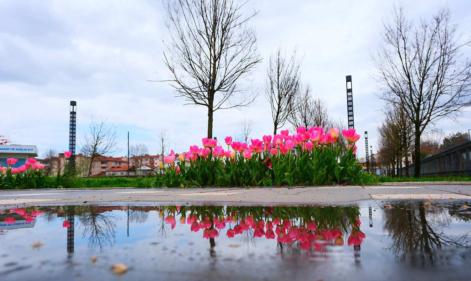 Sakarya’da baharın büyüleyici cümbüşü