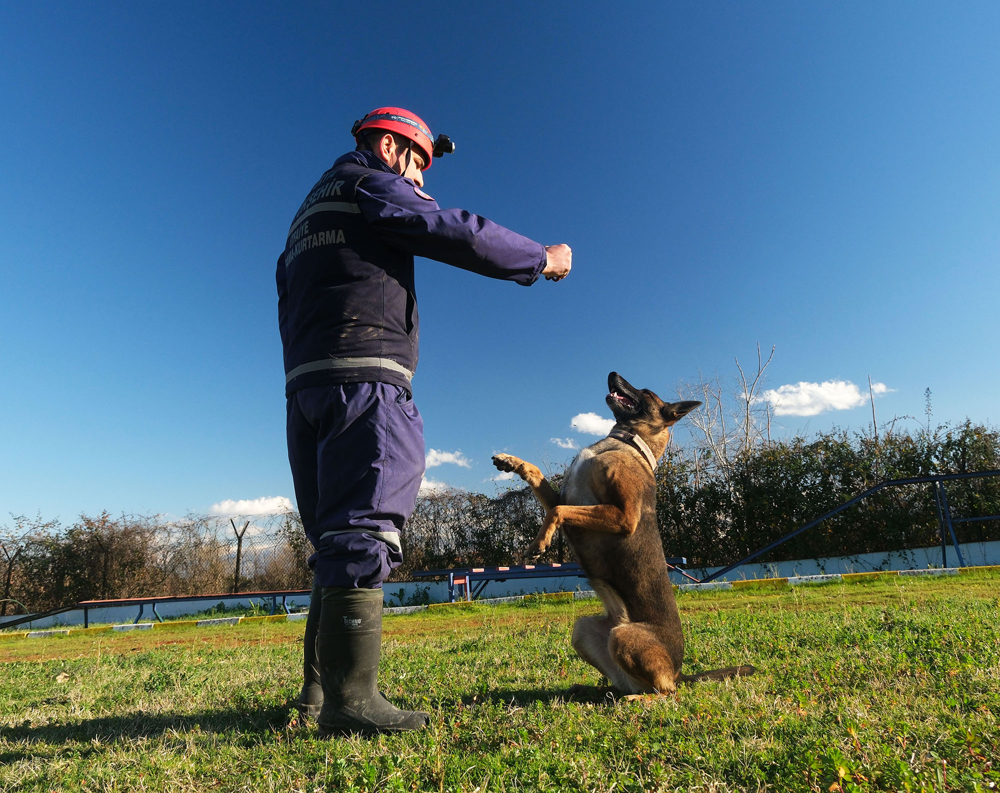 Reina, Ateş, Google ve Qill en zor anda ‘umut’ olmak için hep hazır kıta