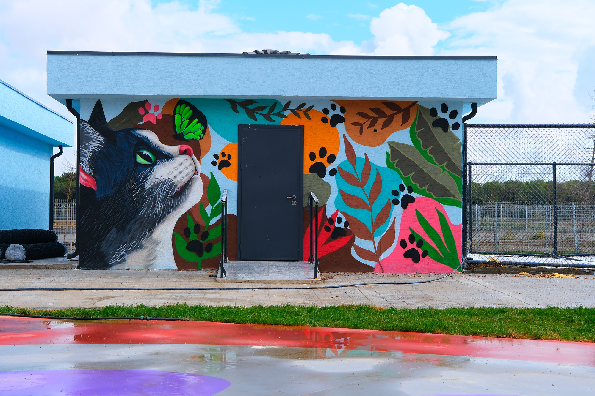 Doğal Yaşam Kampüsü’ne anlam katan grafiti sanatı