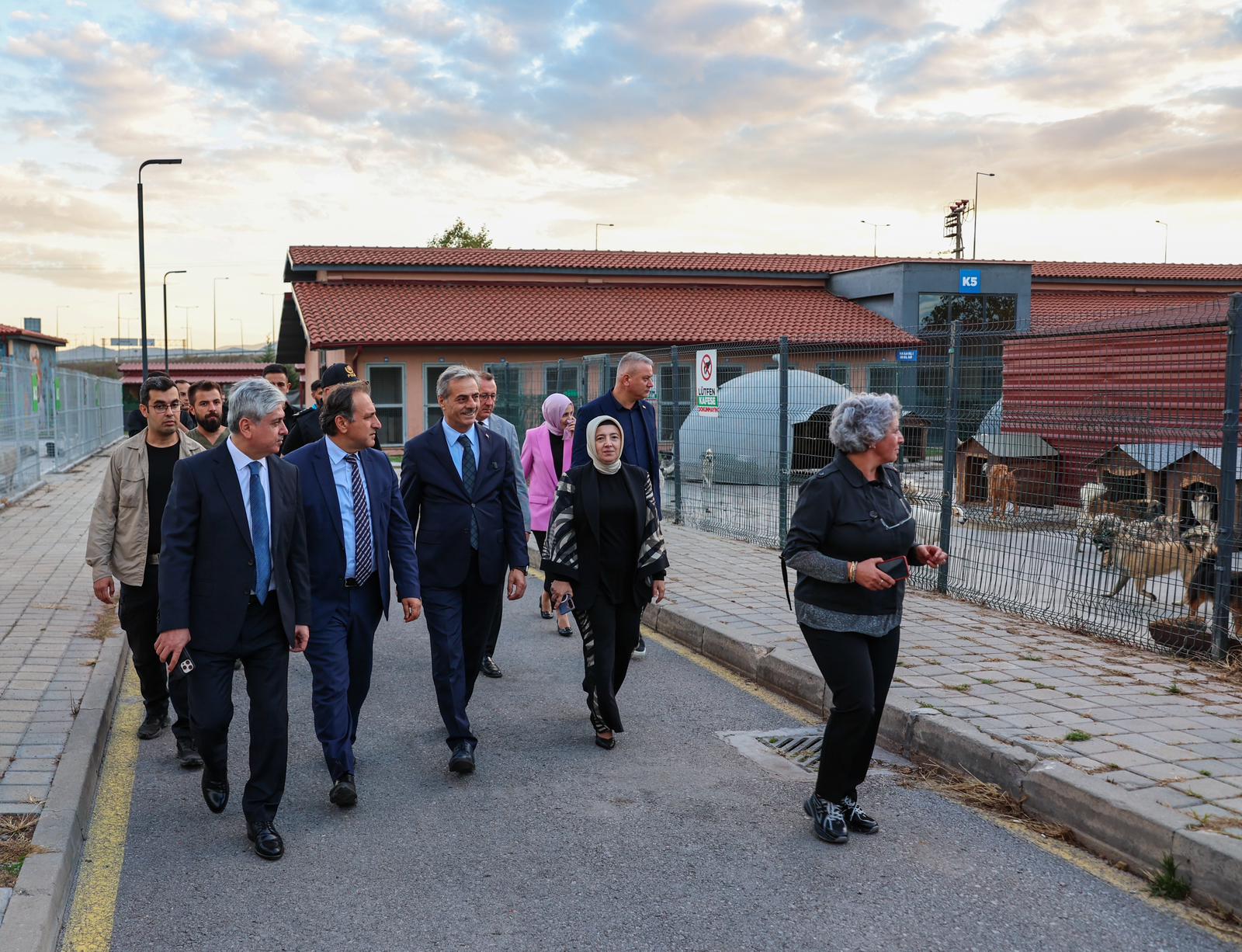 “Sokak Hayvanları Doğal Yaşam Kampüsü yakında kapılarını açacak”