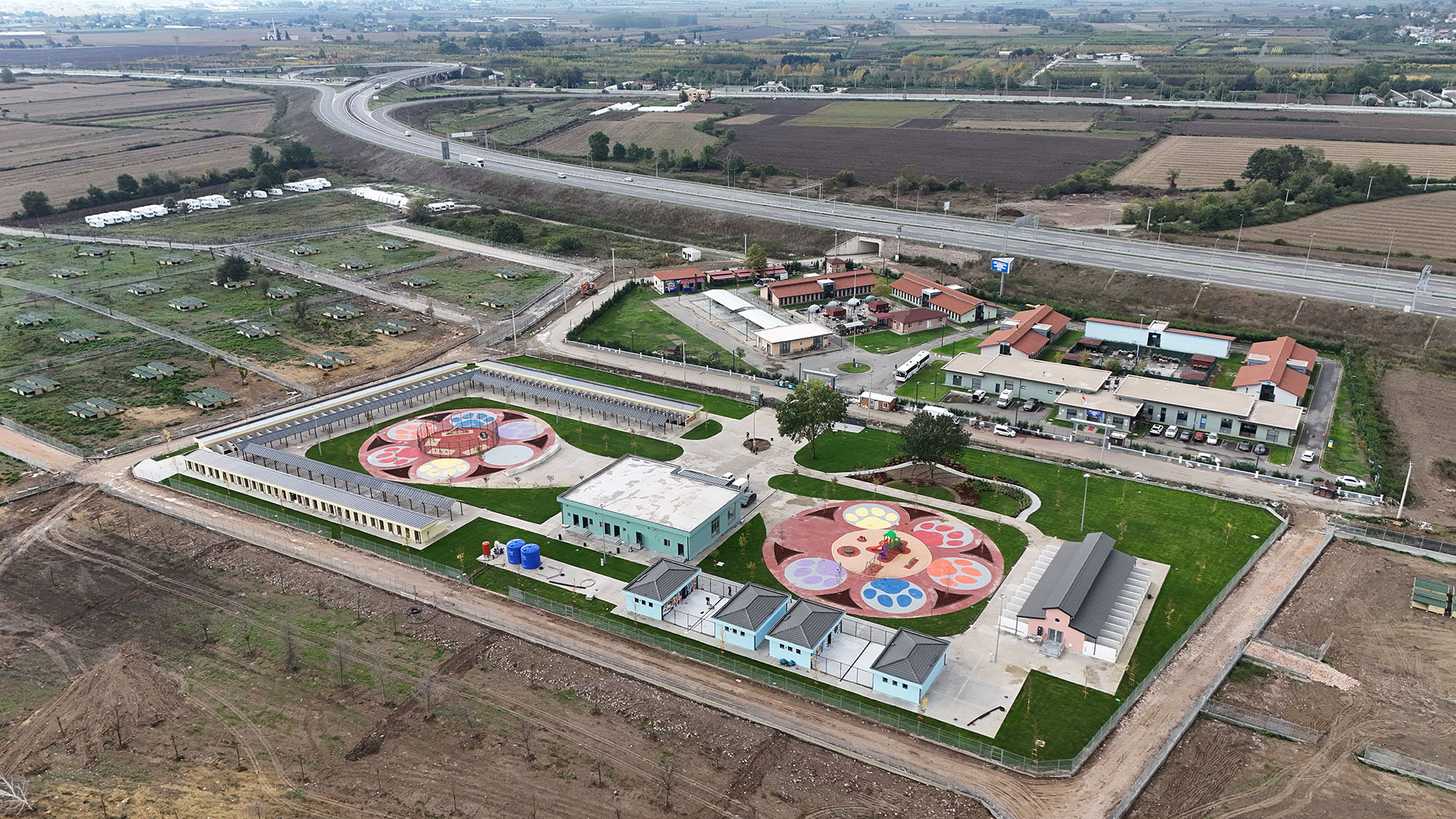 Pati İzi, 700’ü aşkın patili dostu yeni yuvasına kavuşturdu