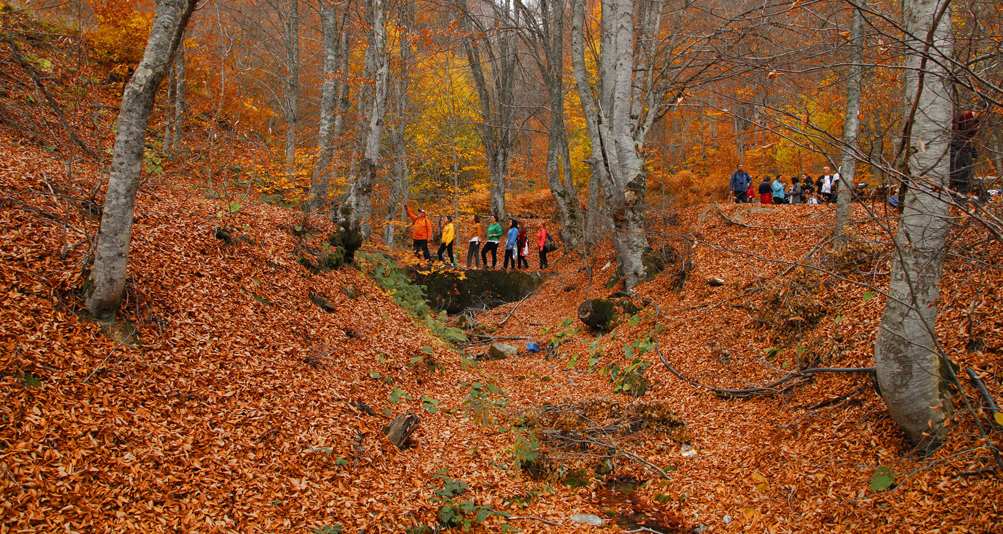 Sakarya’da yılların değişmez takvimi açıklandı: Doğa tutkunları Büyükşehir’le yürüyüşlere başlıyor