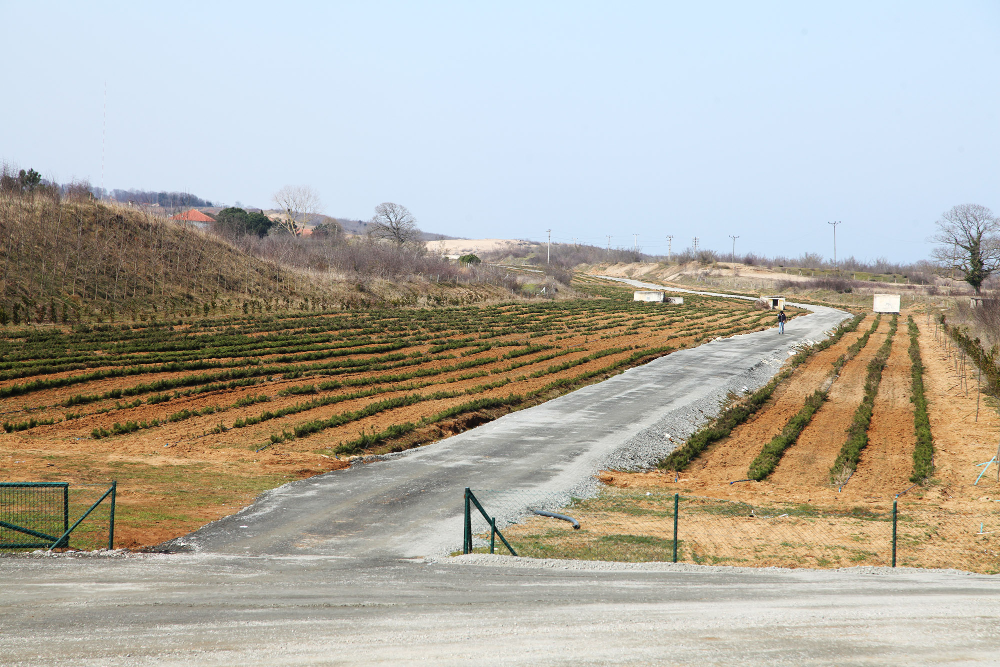 Dünyanın en büyük aromatik bahçesinde bahar bereketi