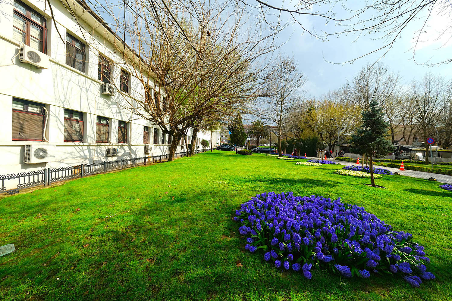 Sakarya’da baharın büyüleyici cümbüşü