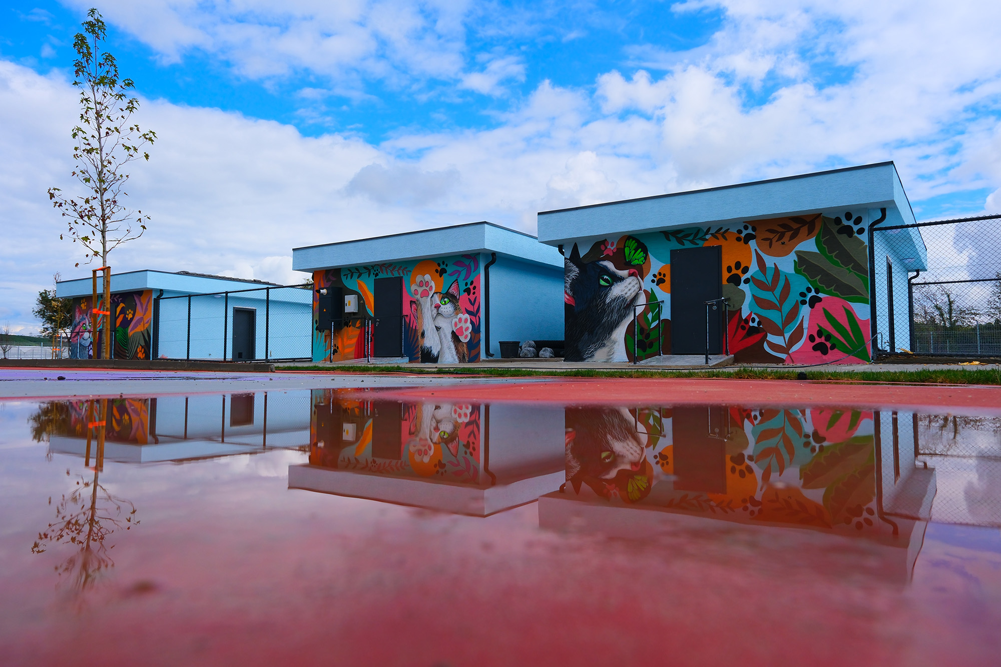 Doğal Yaşam Kampüsü’ne anlam katan grafiti sanatı