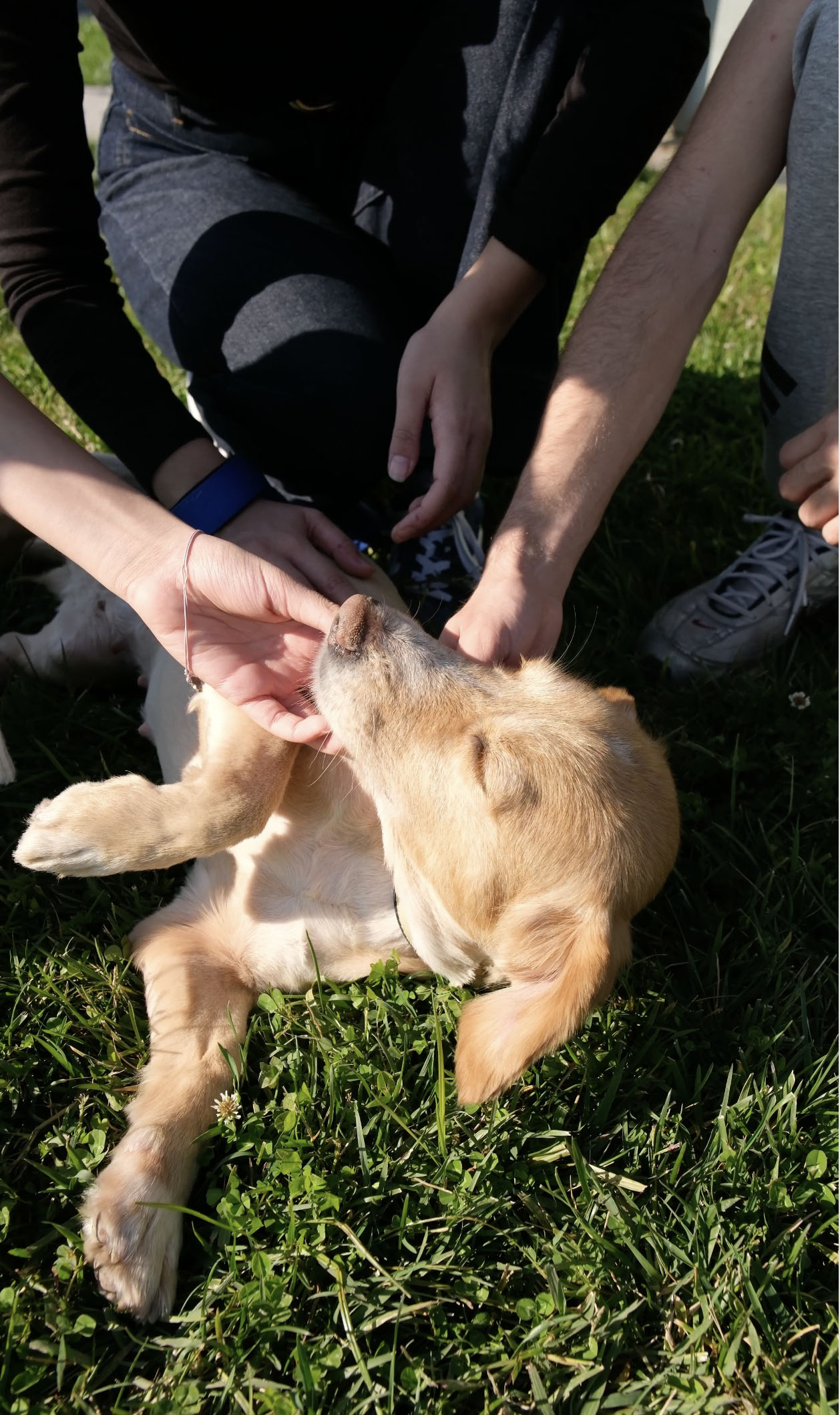 Sakarya’da sevgiyle büyüyen bir başarı hikâyesi…
