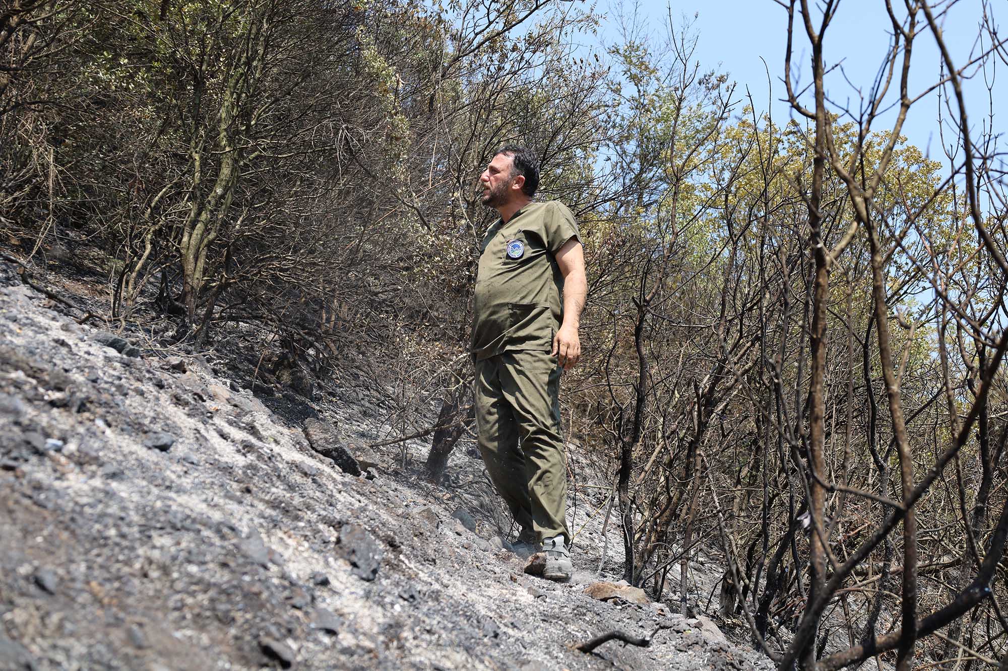 Büyükşehir alevlerin sardığı orman yangınlarında can dostlar için harekete geçti