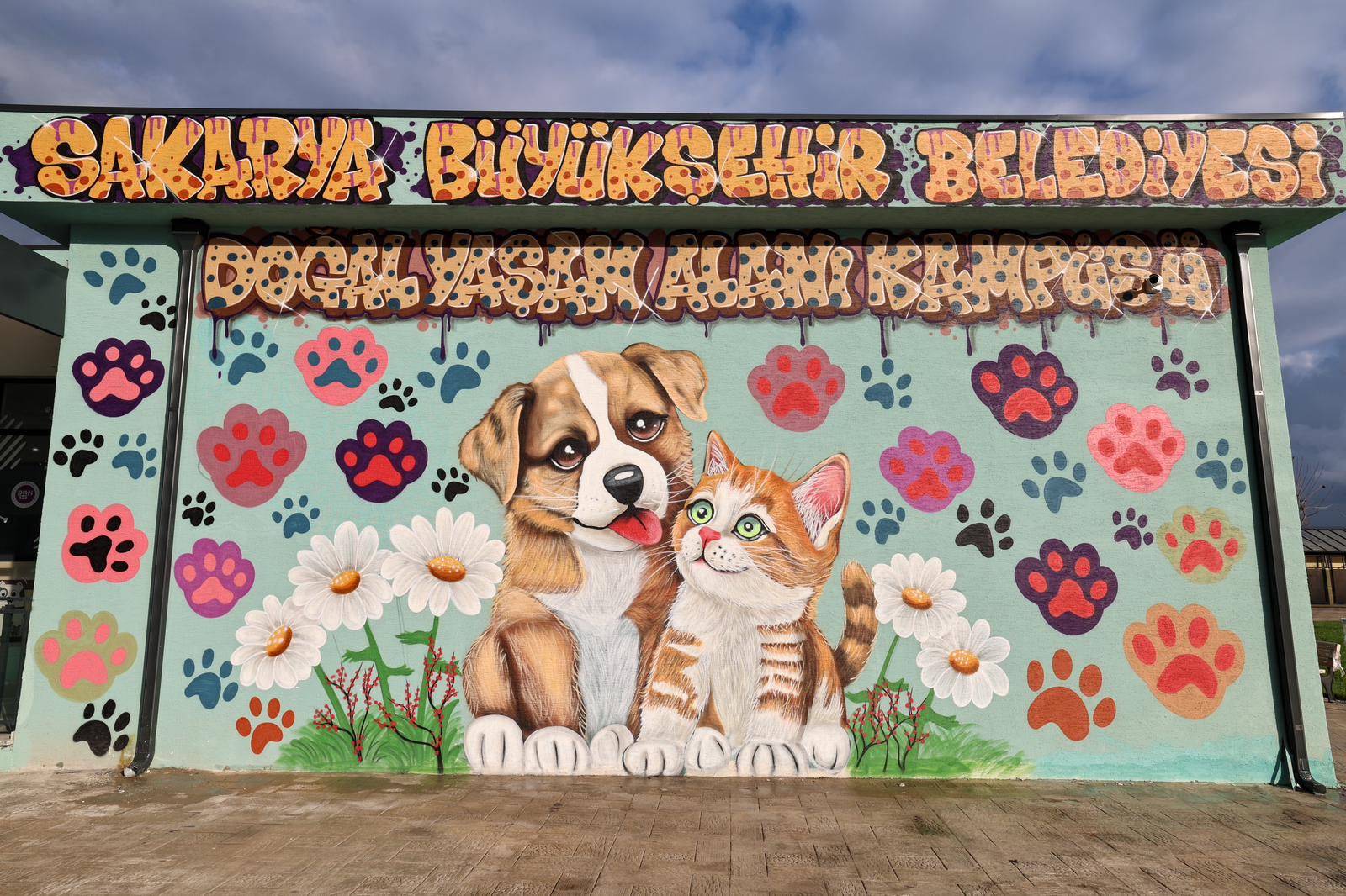 “Sokak Hayvanları Doğal Yaşam Kampüsü ile Sakarya’mız yine bir ilke imza attı”