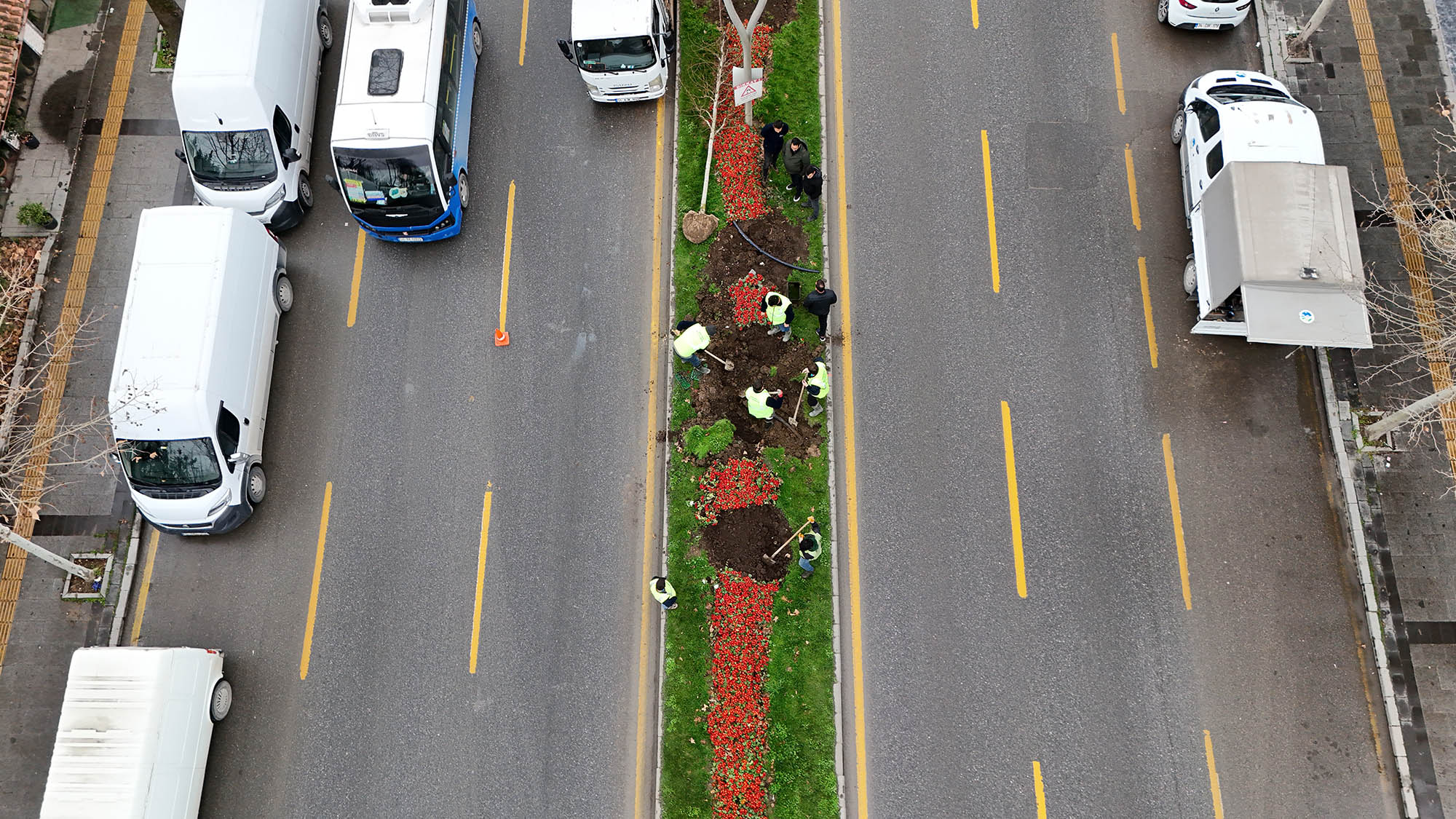 Büyükşehir’in ‘Yeşil Şehir’ vizyonu sahada: 3 ayda 2 bin 500 ağaç toprakla buluştu
