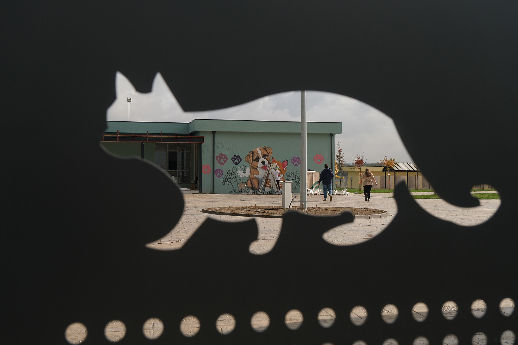 Doğal Yaşam Kampüsü’ne anlam katan grafiti sanatı