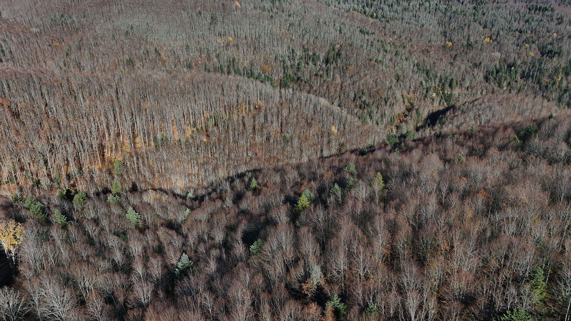 Sonbaharın büyüleyici renkleri arasında 14 kilometrelik unutulmaz rota
