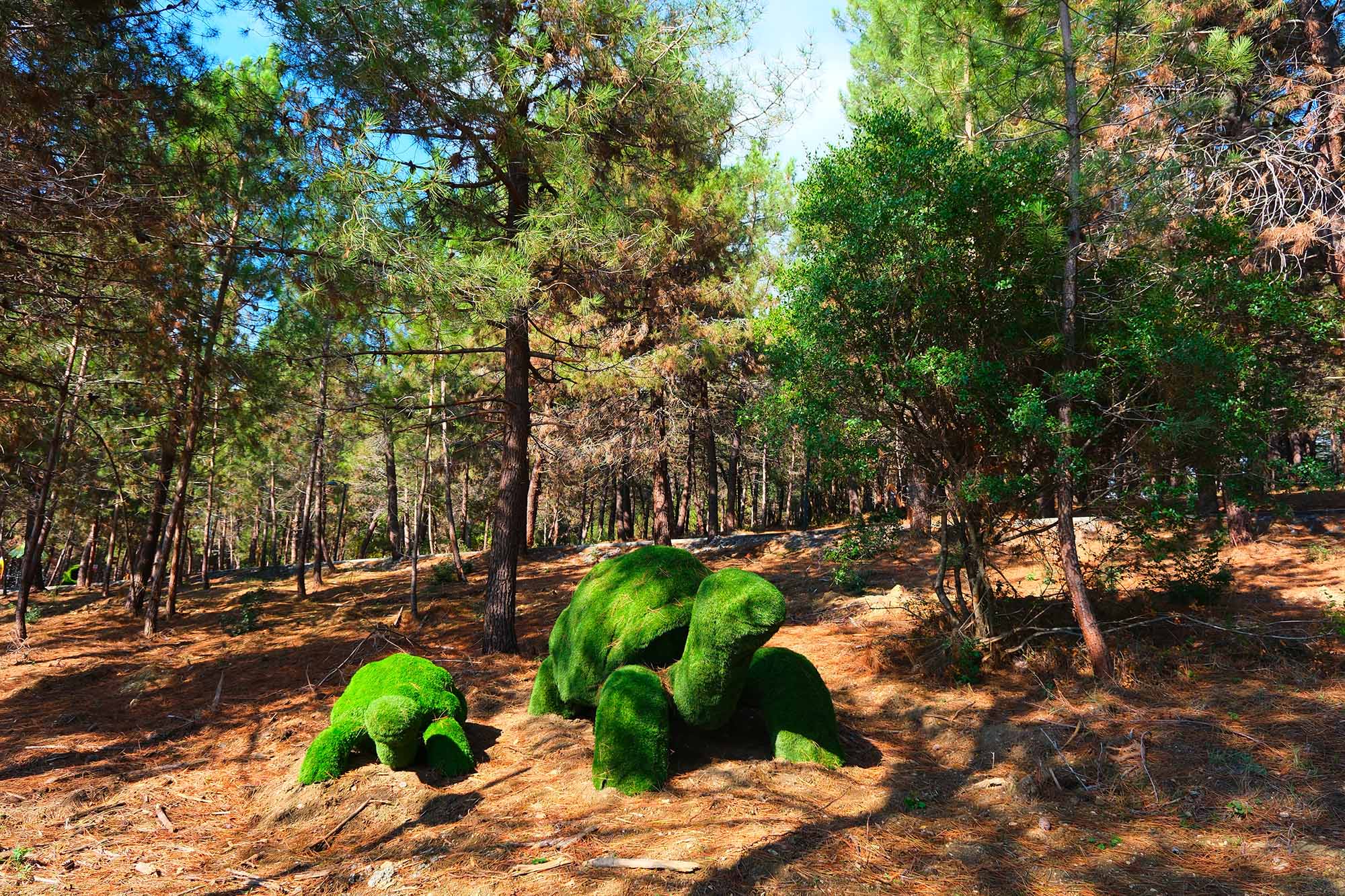 Göl kıyısında gözbebeği olan ‘huzurun’ koridoru uzuyor: Seyir ve fotoğraf noktaları, bisiklet parkı ve oyun parkuru…