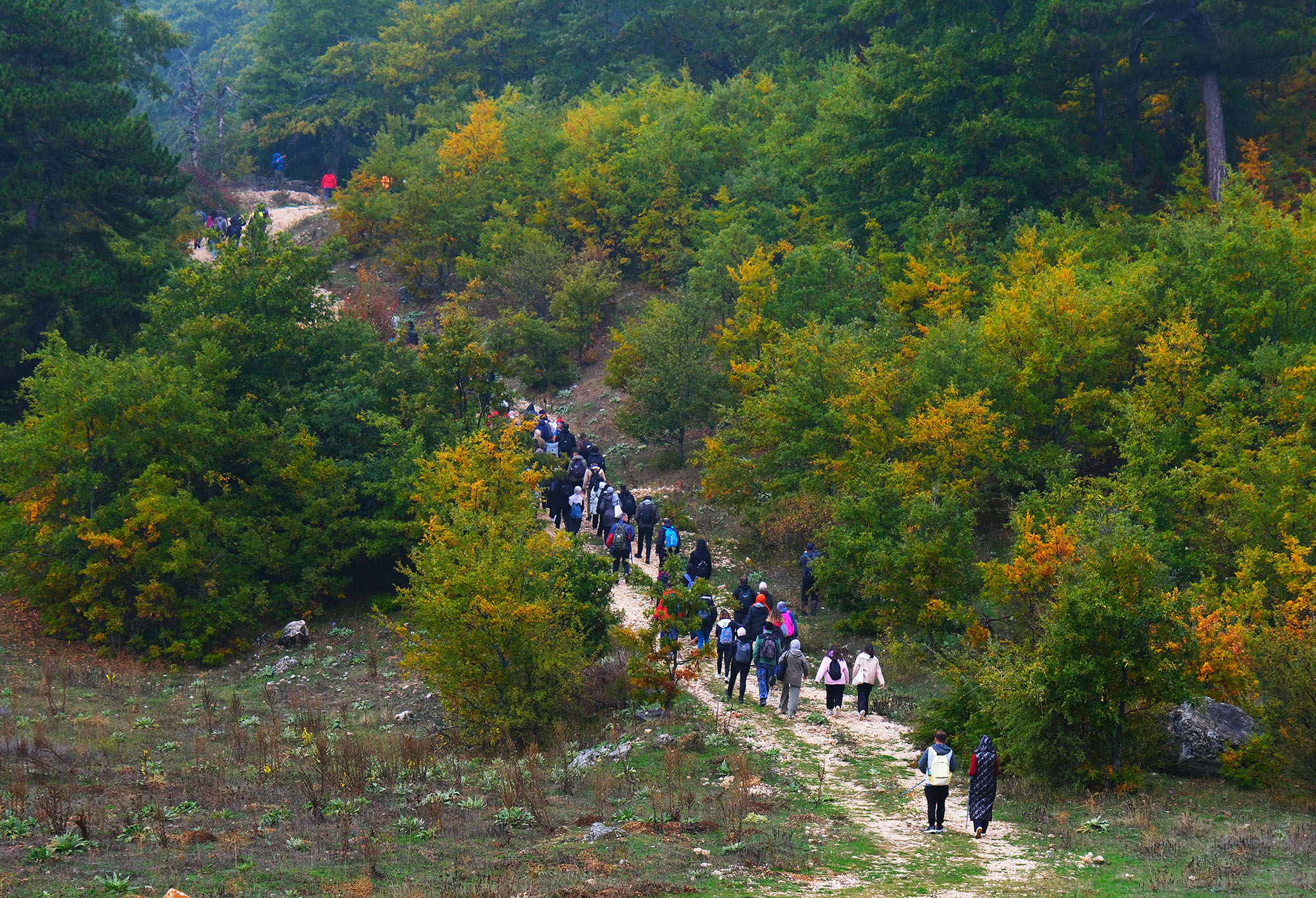 Yaylalardan longoz ormanlarına: Sakarya’da doğayla iç içe sonbahar