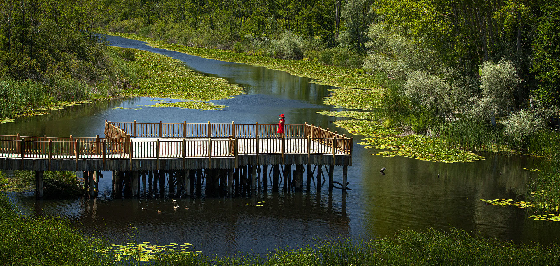 Türkiye Kültür Yolu Festivali 2026’da Sakarya’da: “Şehrimiz en iyi festivale ev sahipliği yapacak”