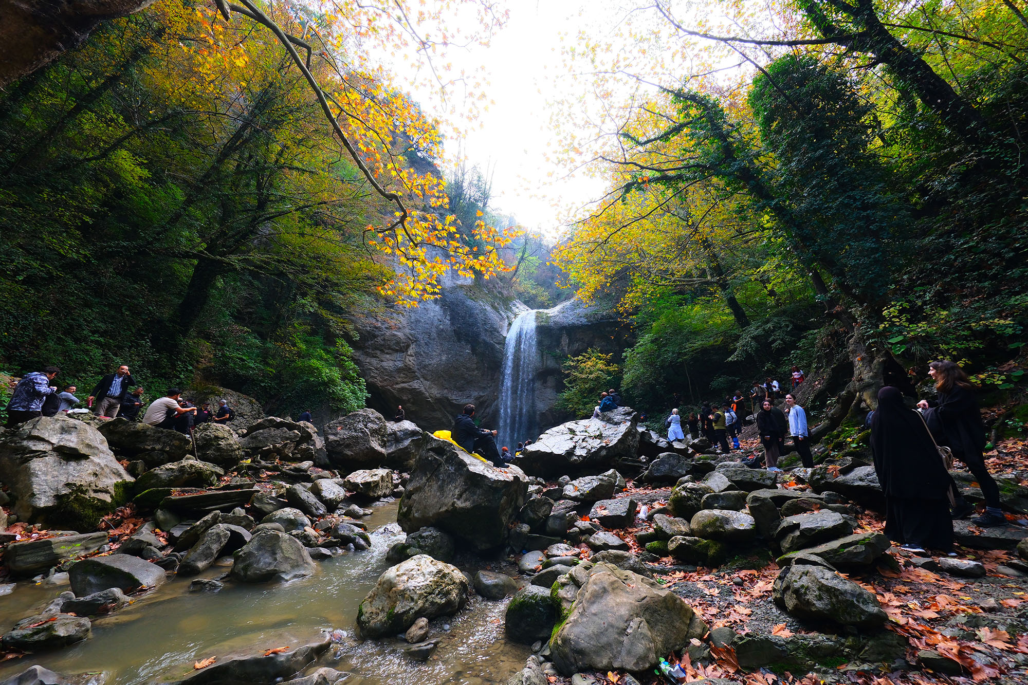 Yaylalardan longoz ormanlarına: Sakarya’da doğayla iç içe sonbahar