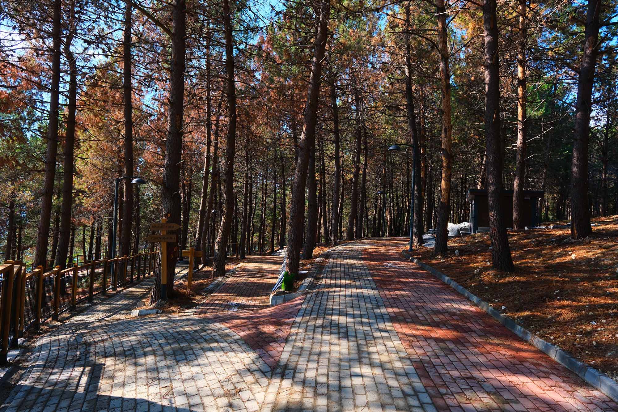 Sapanca Gölü kıyısında ‘huzur veren’ doğa projesi kapılarını açtı