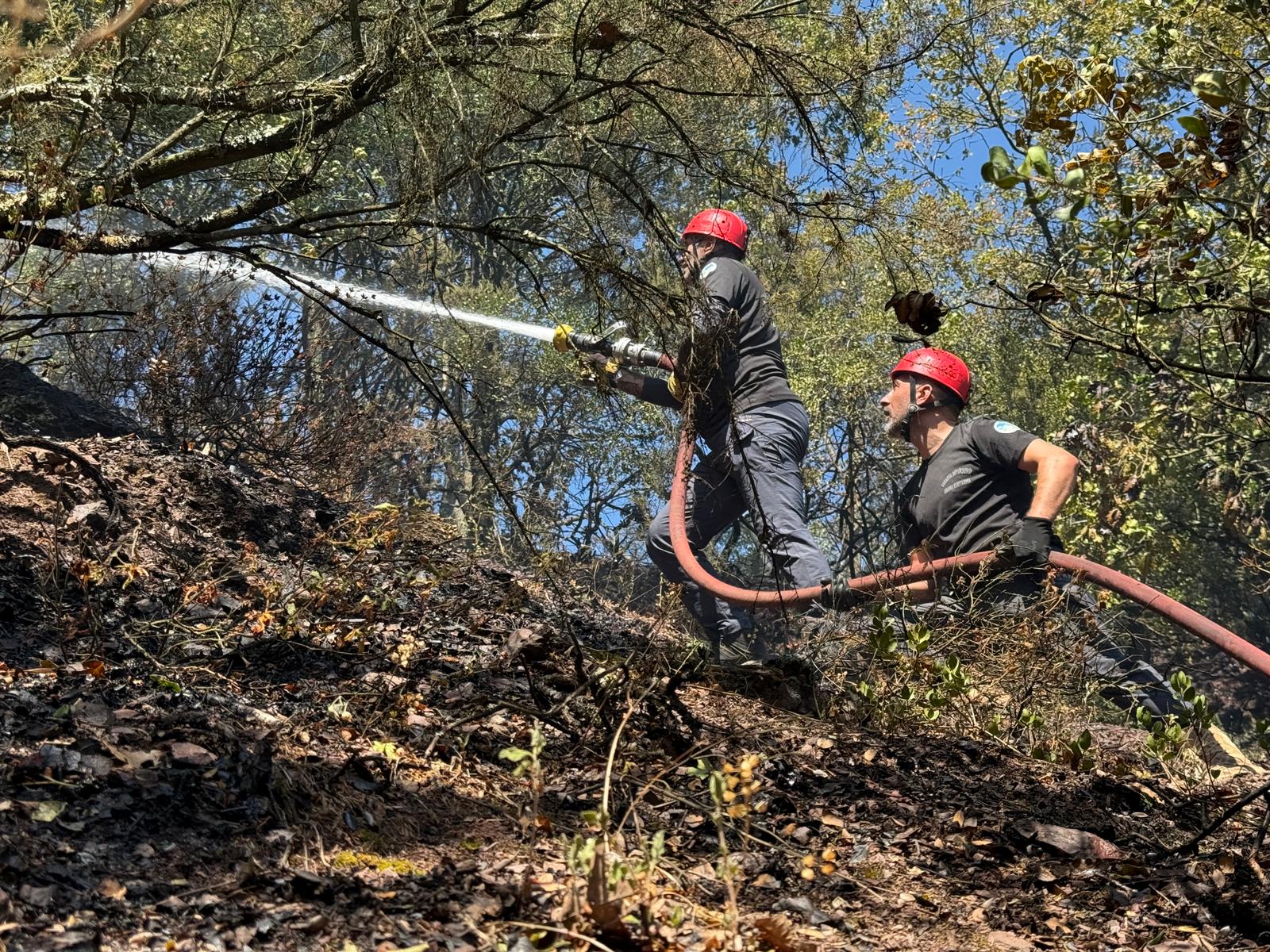 Kömürlük’teki orman yangını kontrol altında