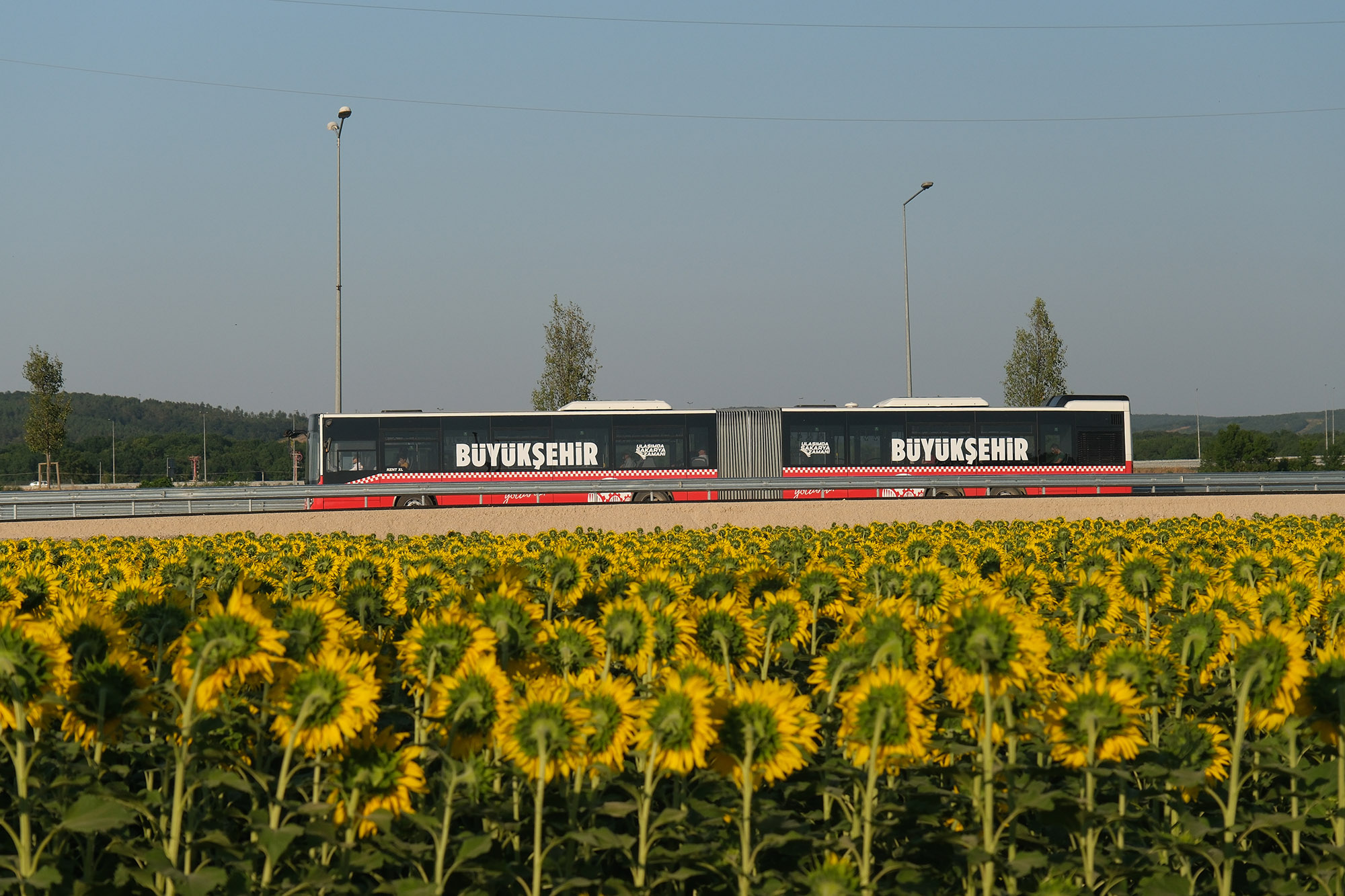 Metrobüs seferleri 8 Aralık Pazartesi günü ile birlikte Korucuk’a uzanıyor