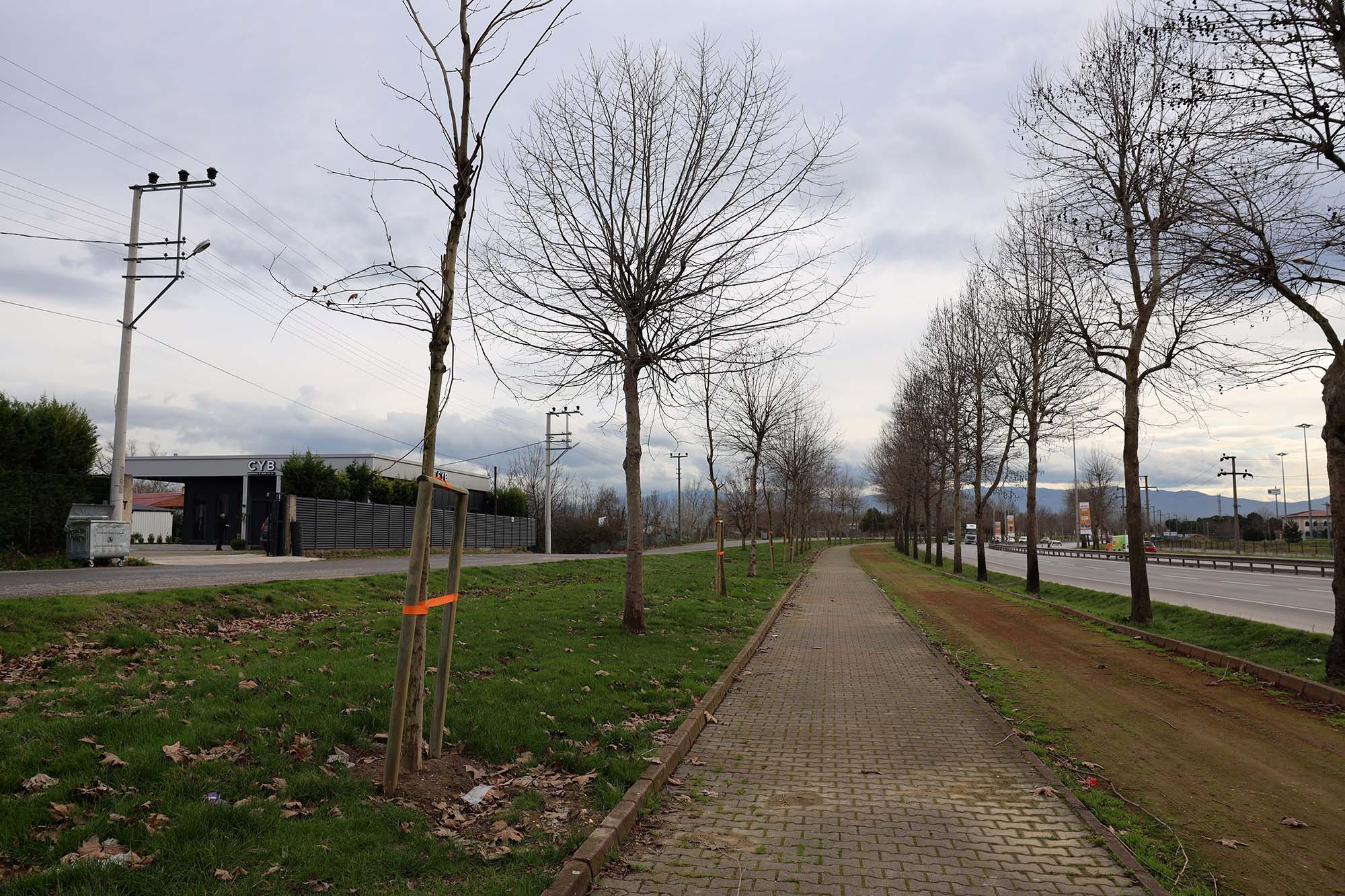 Büyükşehir’in ‘Yeşil Şehir’ vizyonu sahada: 3 ayda 2 bin 500 ağaç toprakla buluştu