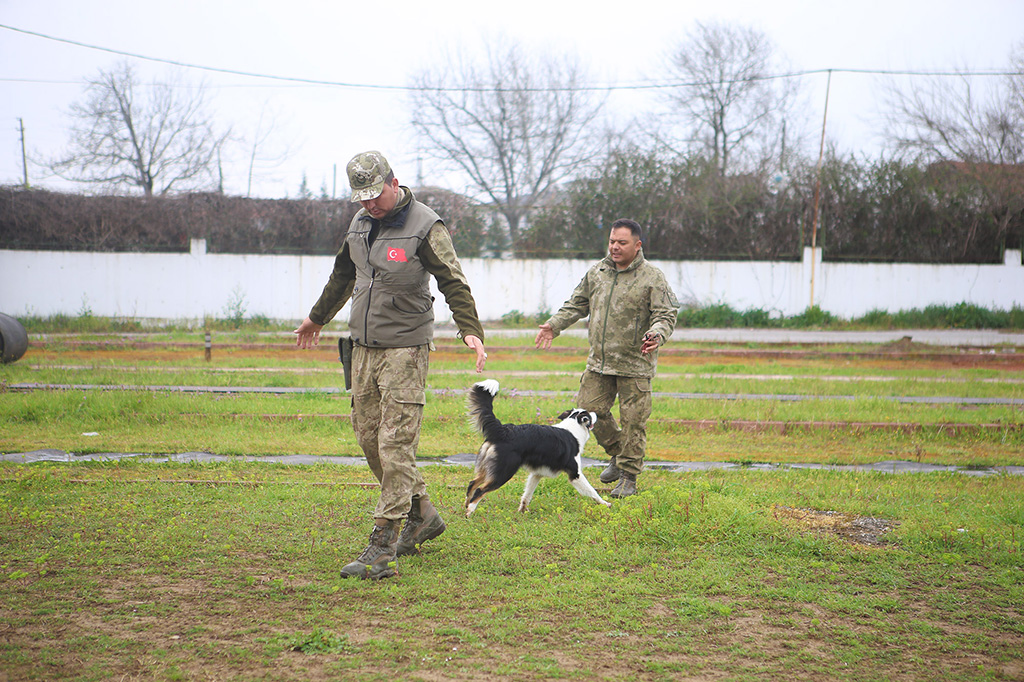Büyükşehir öncü oldu: Canları kurtaracak köpekler en zor güne hazırlanıyor