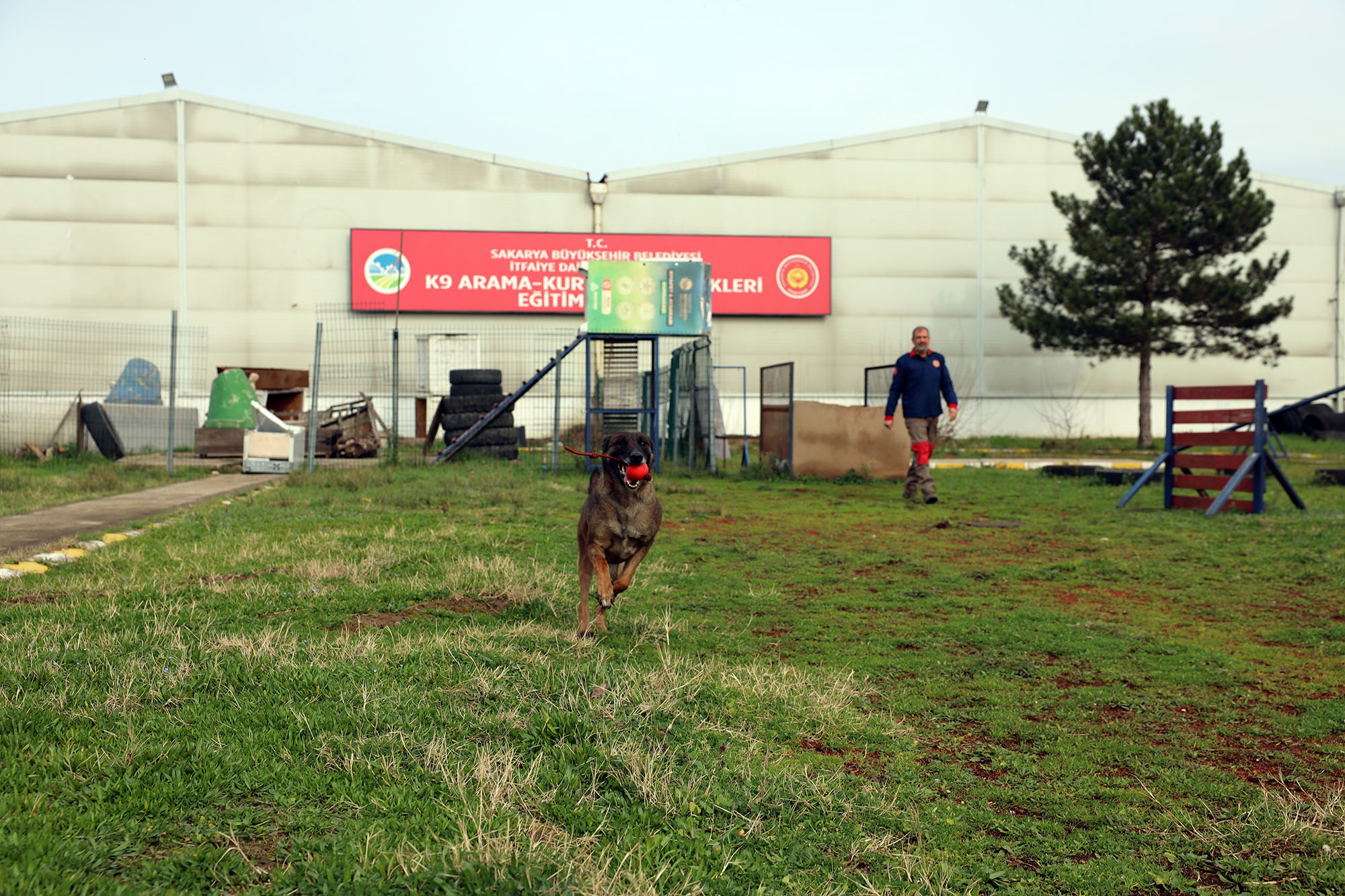 Reina, Ateş, Google ve Qill en zor anda ‘umut’ olmak için hep hazır kıta