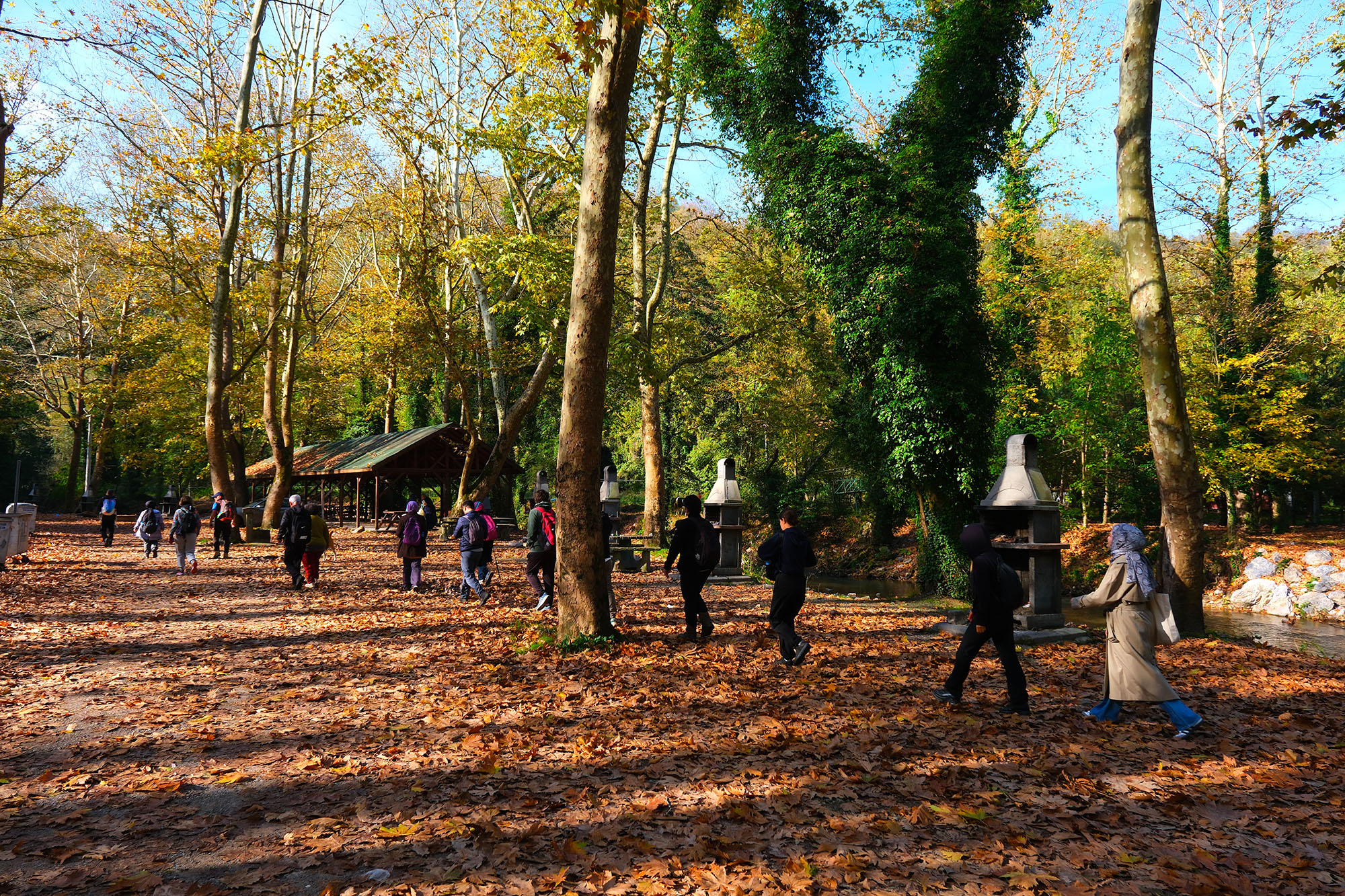 Yaylalardan longoz ormanlarına: Sakarya’da doğayla iç içe sonbahar