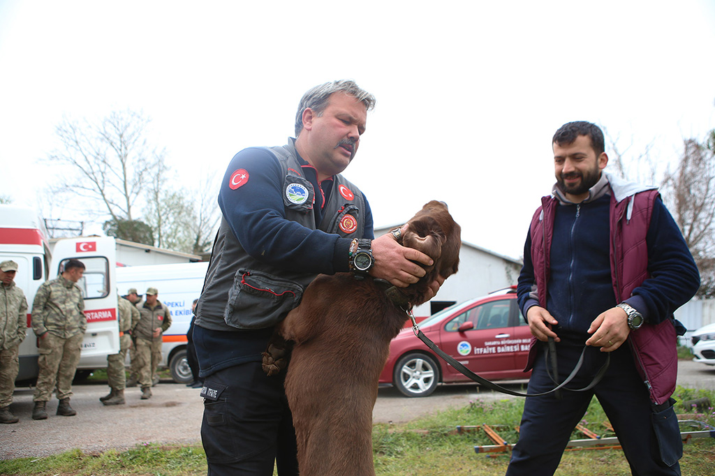 Büyükşehir öncü oldu: Canları kurtaracak köpekler en zor güne hazırlanıyor
