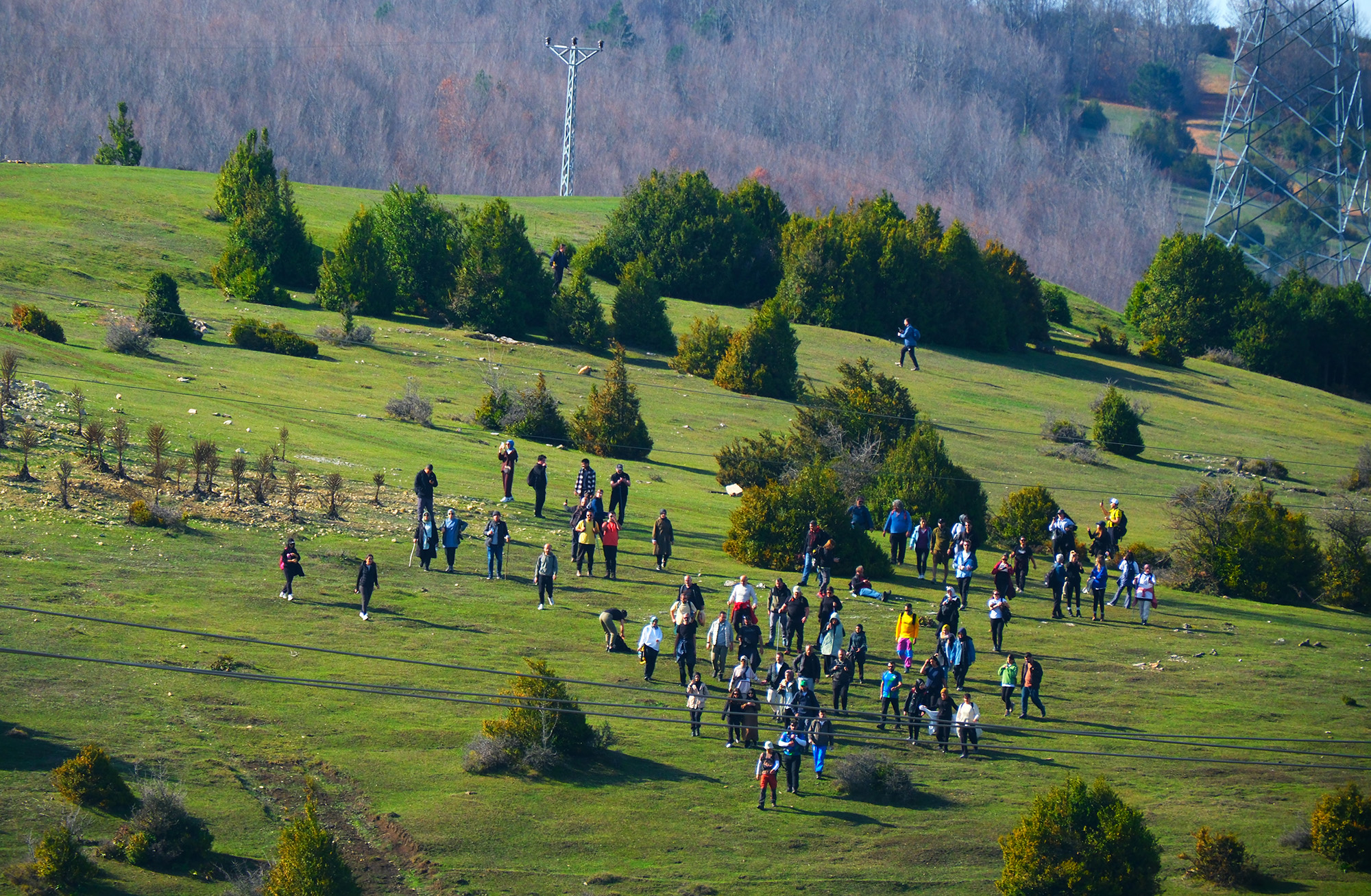 Doğaseverlerin bu haftaki rotası Karagöl ve Sultanpınarı Yaylası oldu