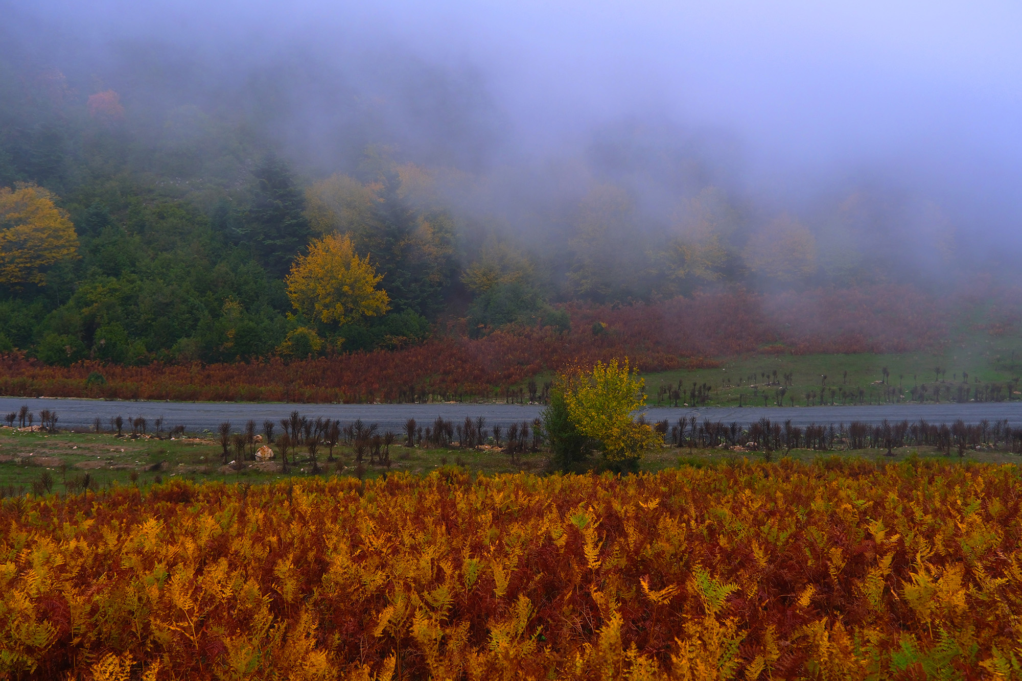 Sisler içindeki Kılıçkaya’da büyüleyici gün 