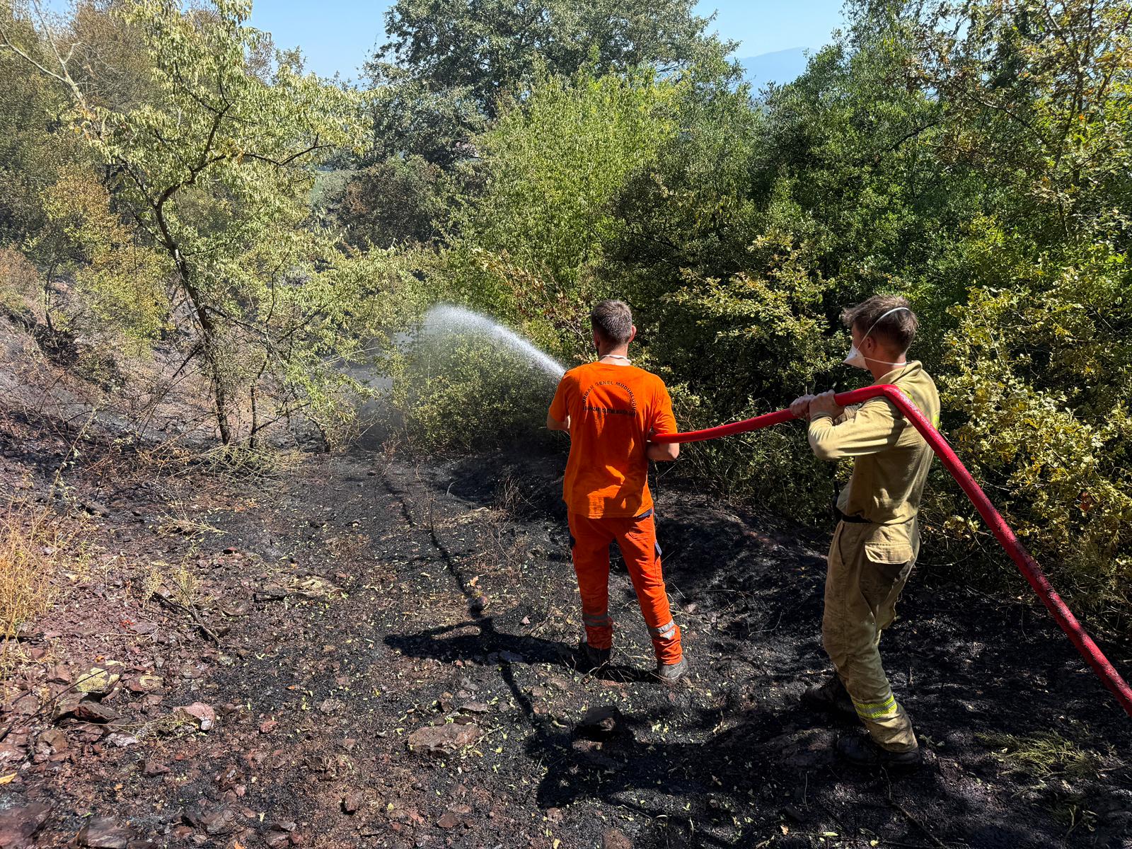 Kömürlük’teki orman yangını kontrol altında