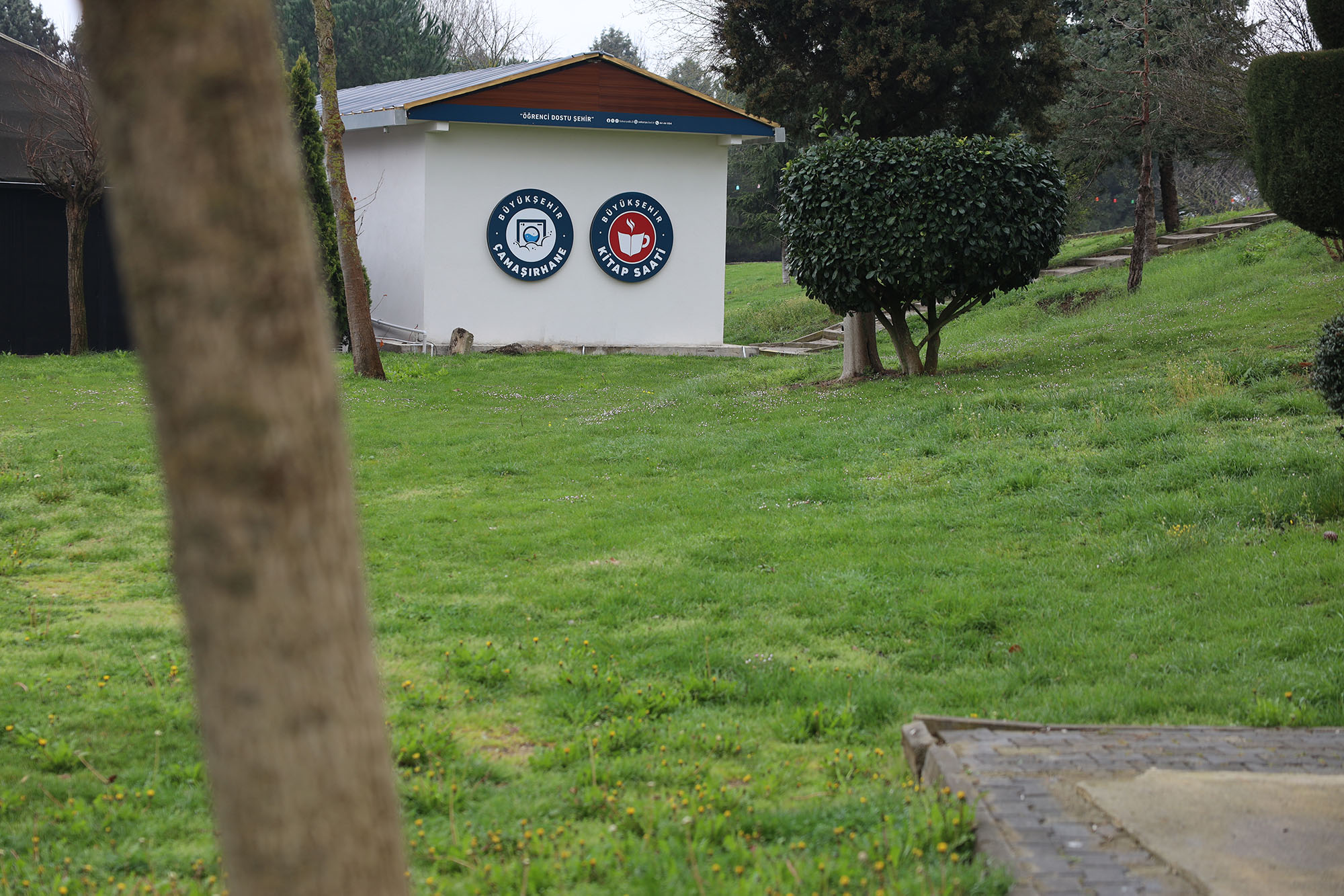 Sakarya’da öğrenciler çamaşırları yıkanırken kitap okuyor