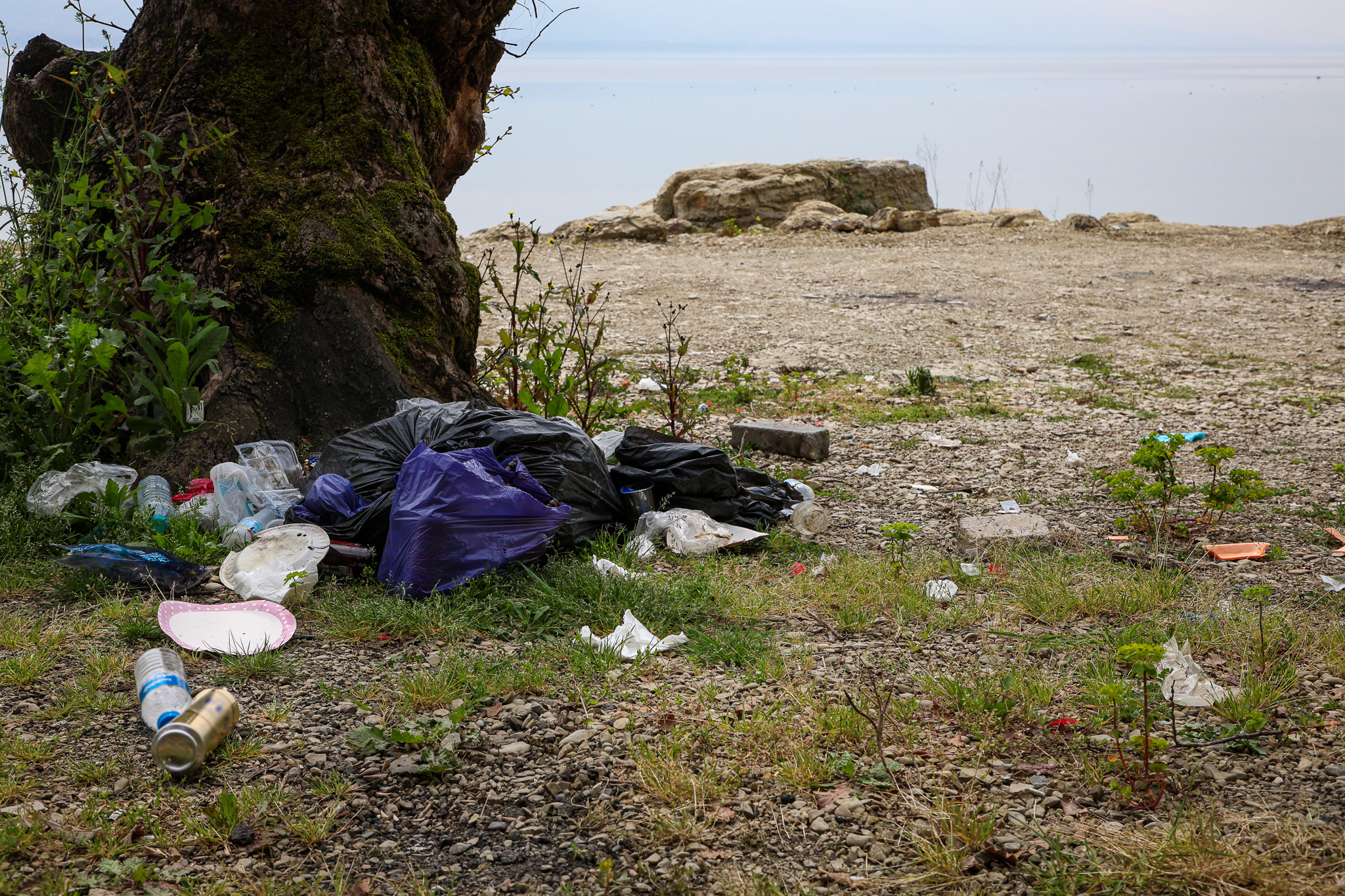 Sapanca Gölü’nün her bir karışı Büyükşehir’in takibinde: Tonlarca atık topladılar…