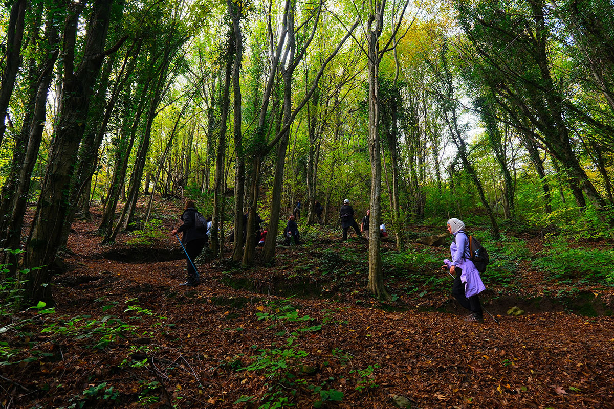 Yaylalardan longoz ormanlarına: Sakarya’da doğayla iç içe sonbahar