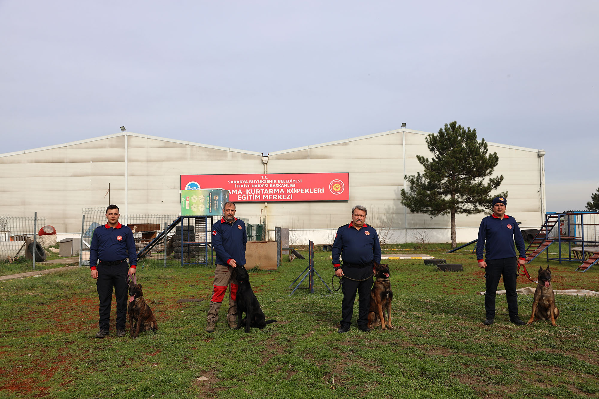 Reina, Ateş, Google ve Qill en zor anda ‘umut’ olmak için hep hazır kıta