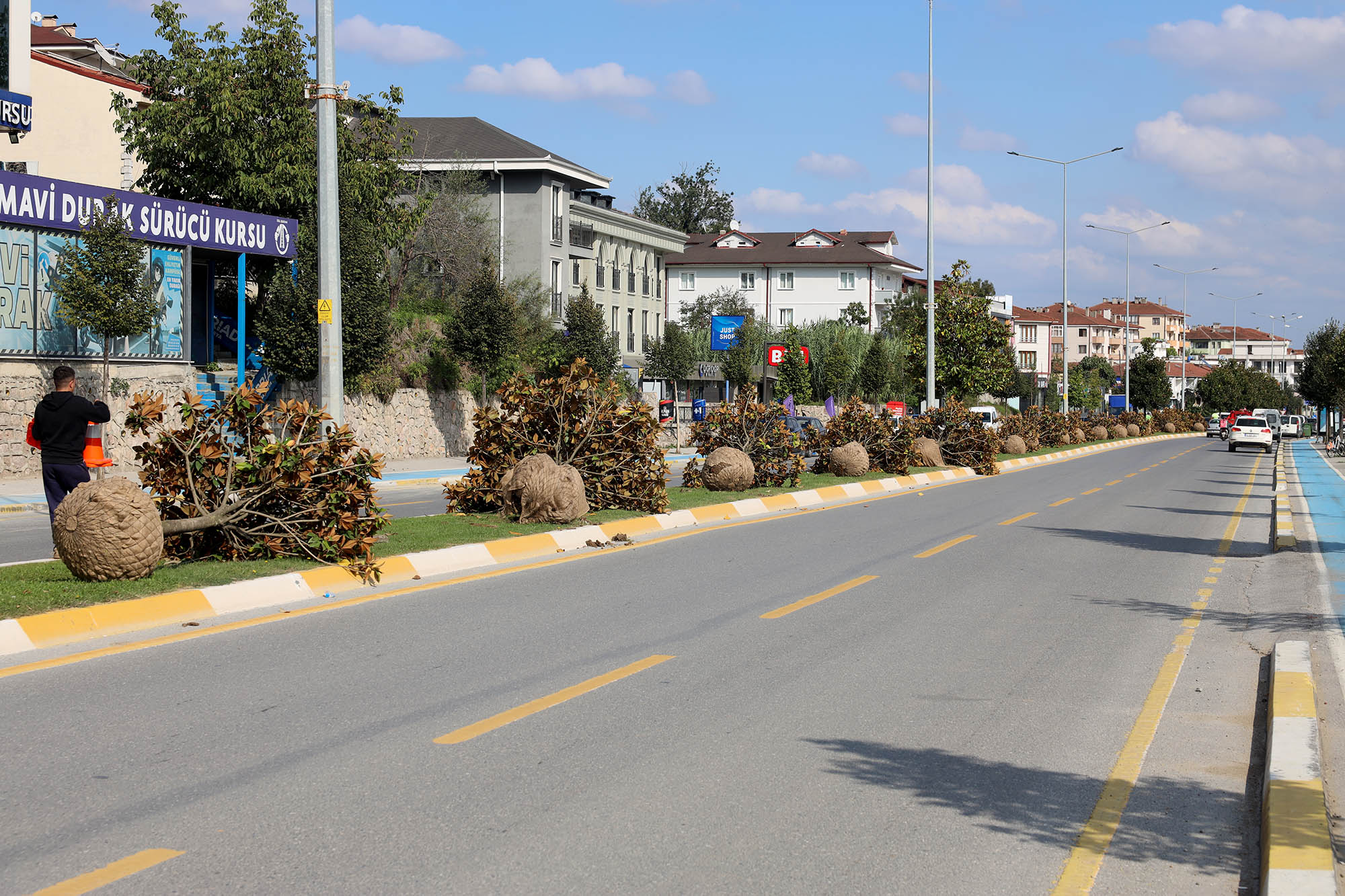 Raylı Sistem’de ilk kazma öncesi sahada hazırlık başladı: Ağaçlar titiz bir çalışmayla taşınıyor