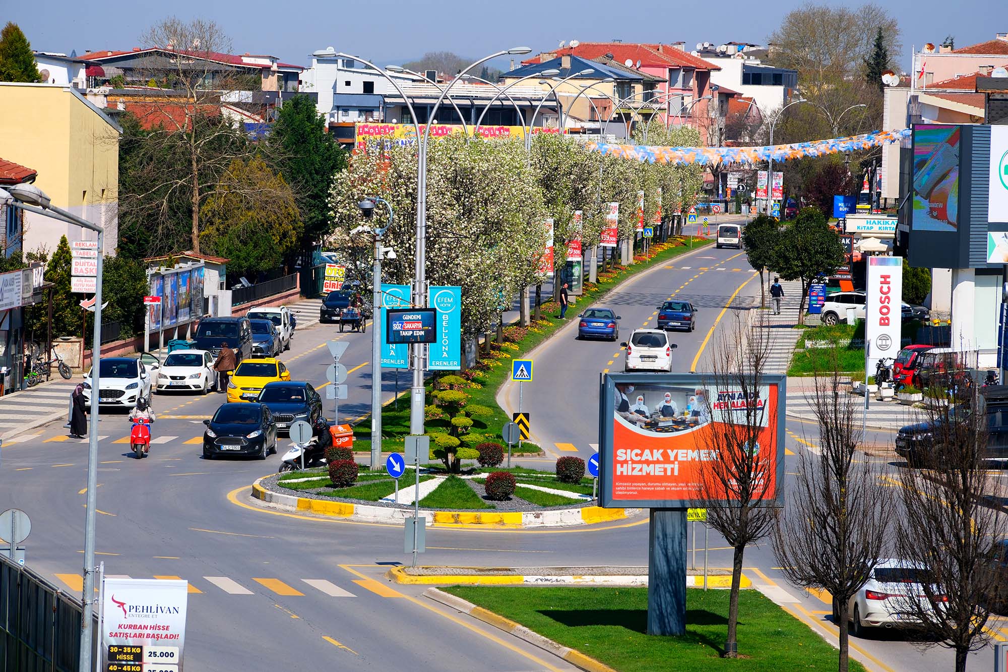 Sakarya’da baharın büyüleyici cümbüşü