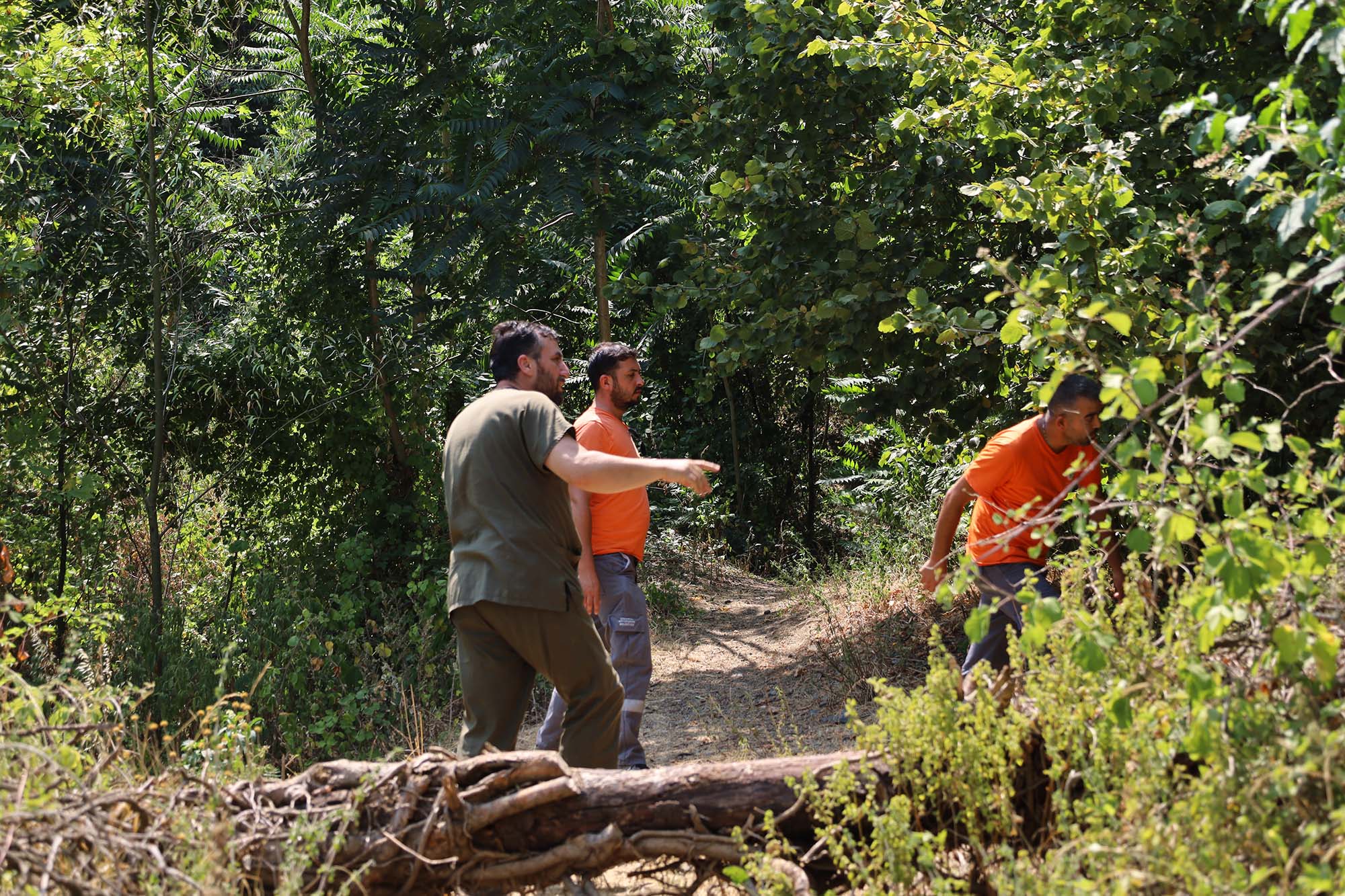 Büyükşehir alevlerin sardığı orman yangınlarında can dostlar için harekete geçti