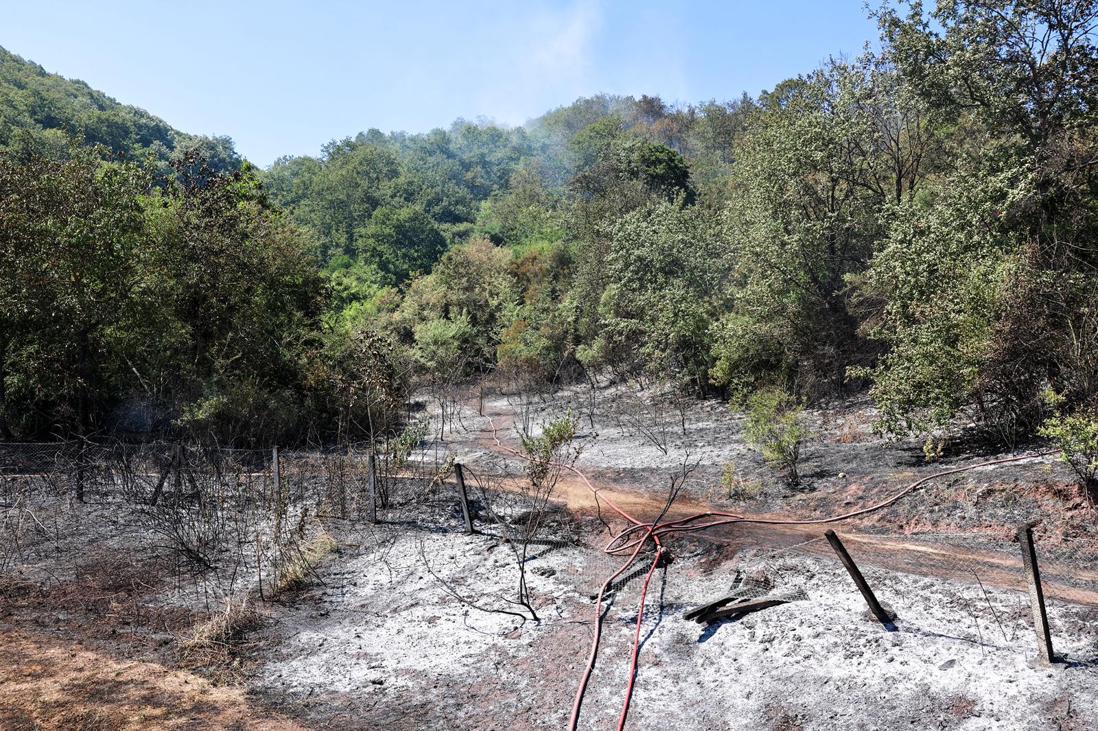 4 saatte 3 orman yangını kontrol altına alındı