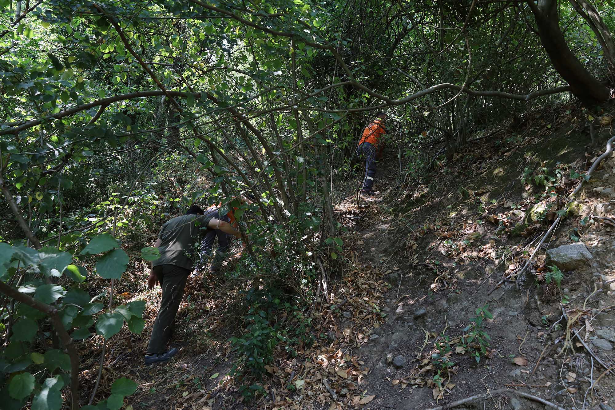 Büyükşehir alevlerin sardığı orman yangınlarında can dostlar için harekete geçti