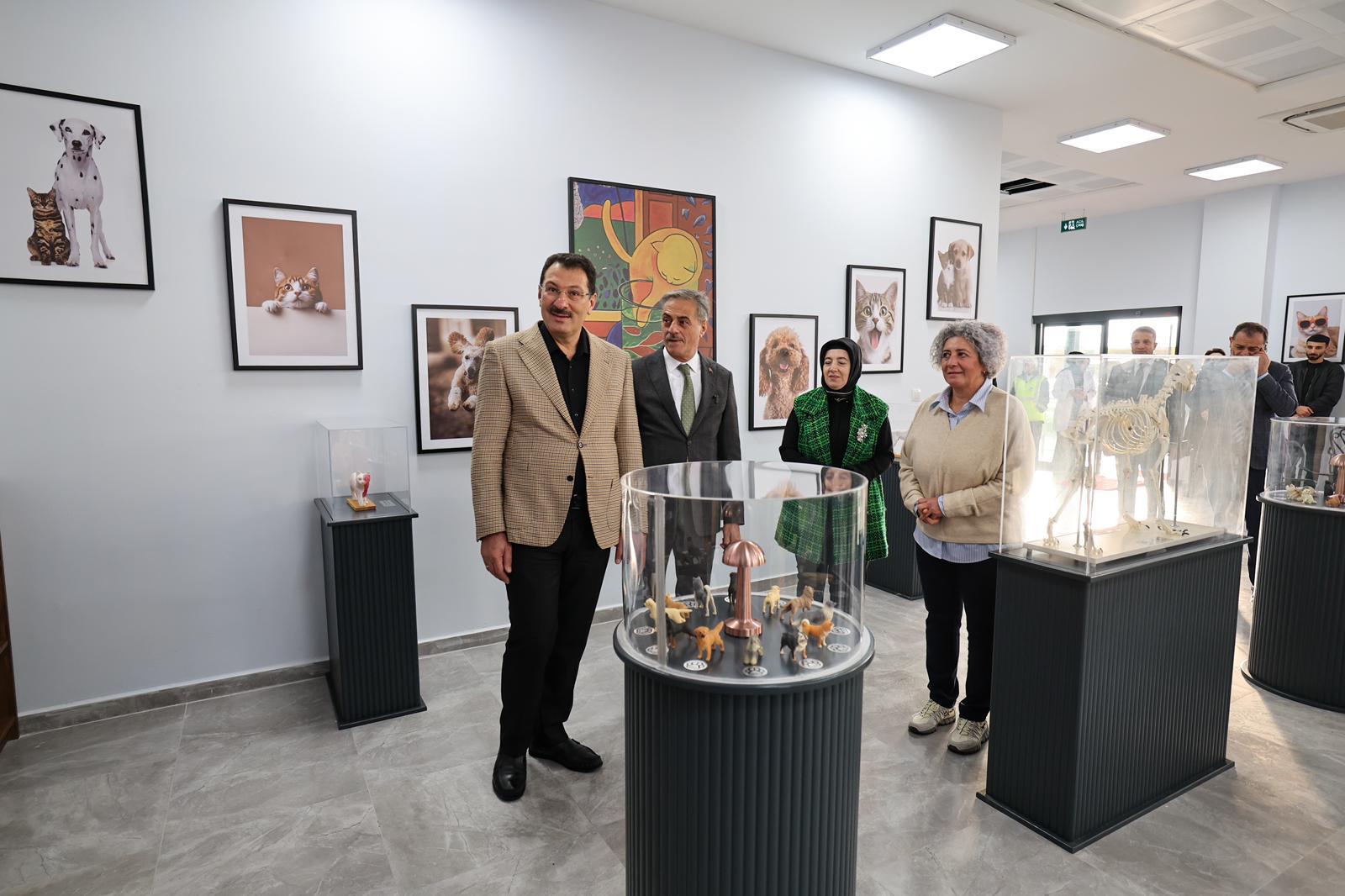 “Sokak Hayvanları Doğal Yaşam Kampüsü ile Sakarya’mız yine bir ilke imza attı”