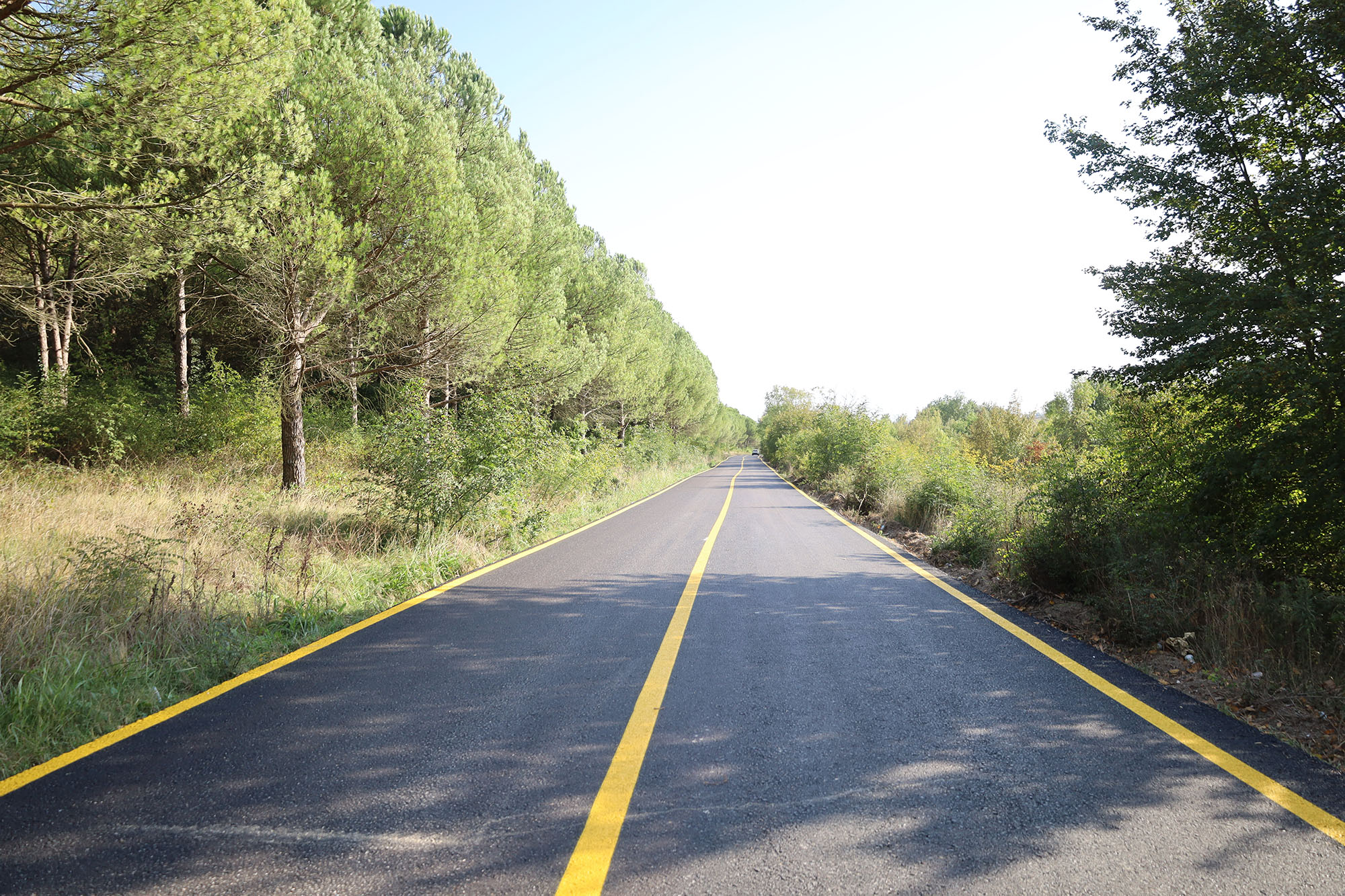 Söğütlü’de yenilenen grup yollarına vatandaşlardan tam not: “Modern bir hale kavuştu”