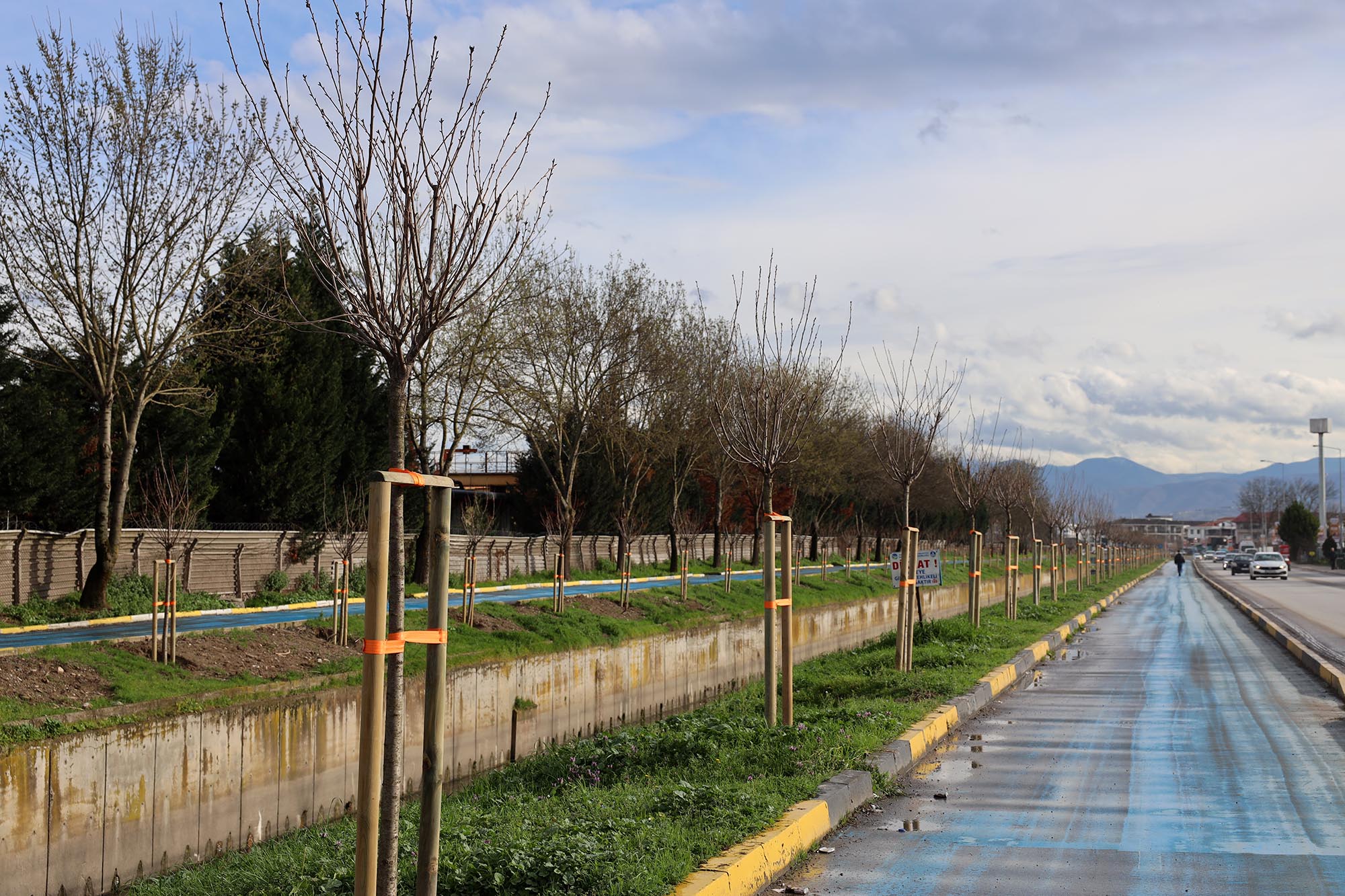 Büyükşehir’in ‘Yeşil Şehir’ vizyonu sahada: 3 ayda 2 bin 500 ağaç toprakla buluştu