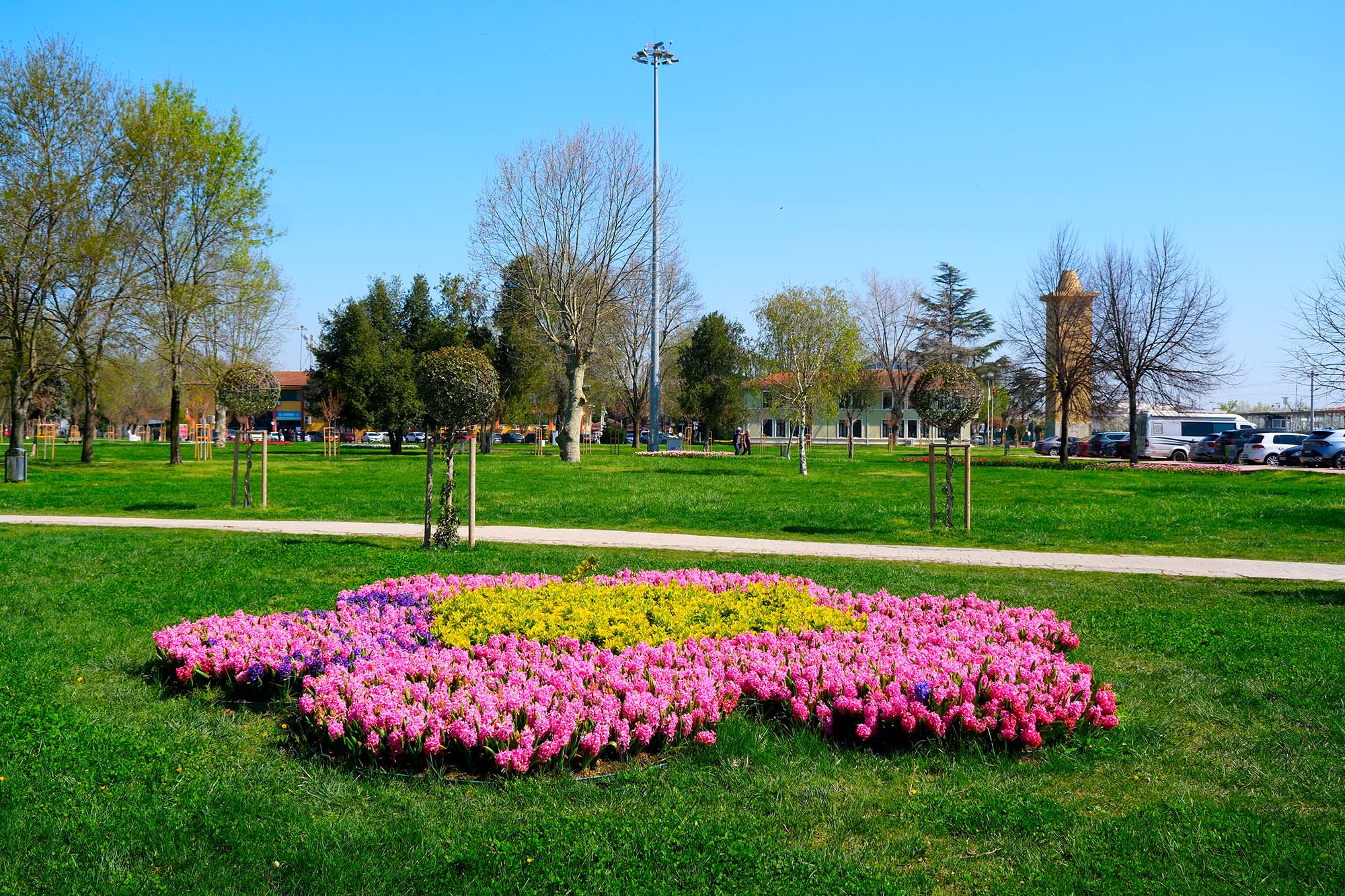 Sakarya’da baharın büyüleyici cümbüşü