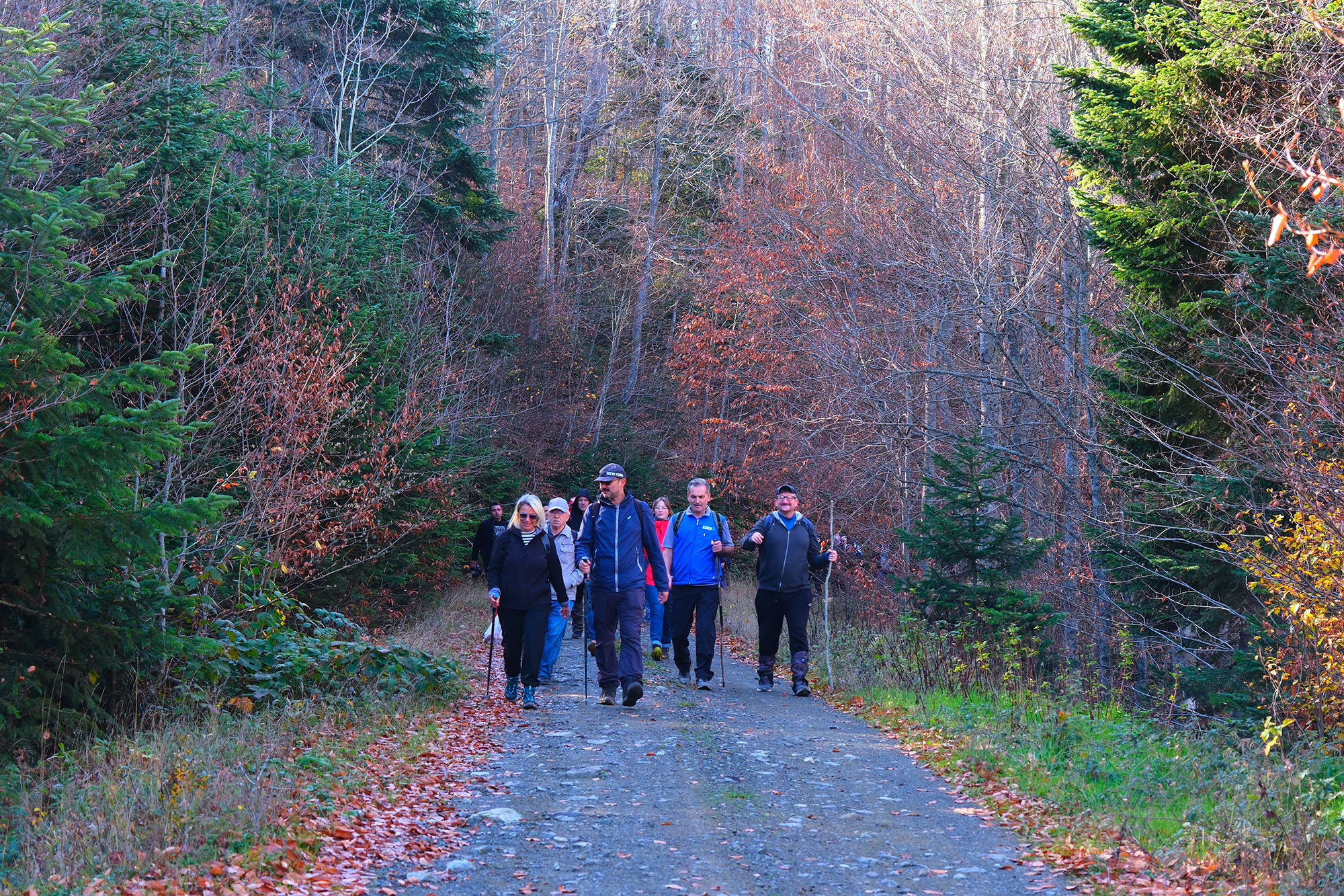 Sonbaharın büyüleyici renkleri arasında 14 kilometrelik unutulmaz rota